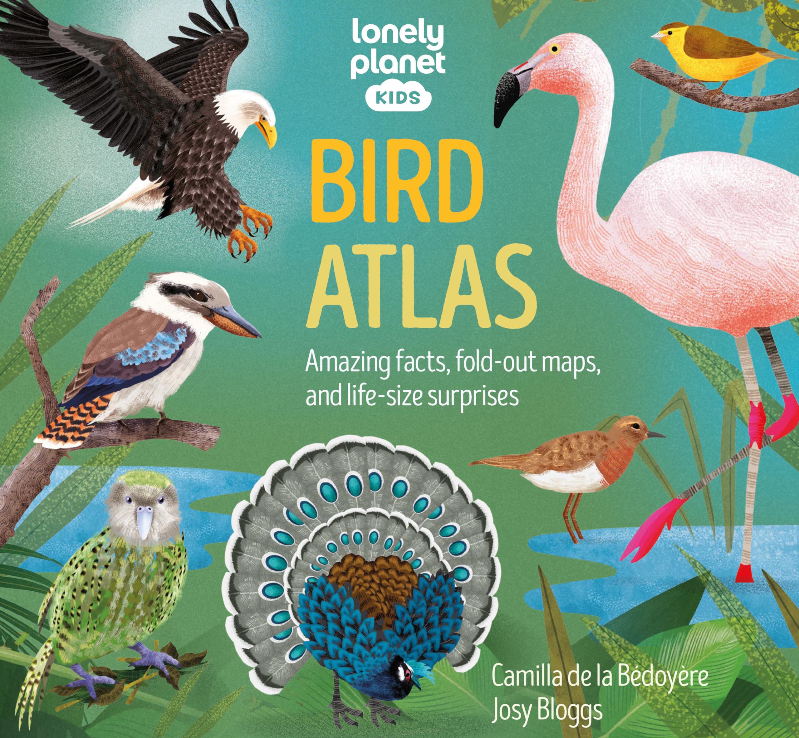 Lonely Planet Kids Bird Atlas (Creature Atlas) Leisure, Home & Garden