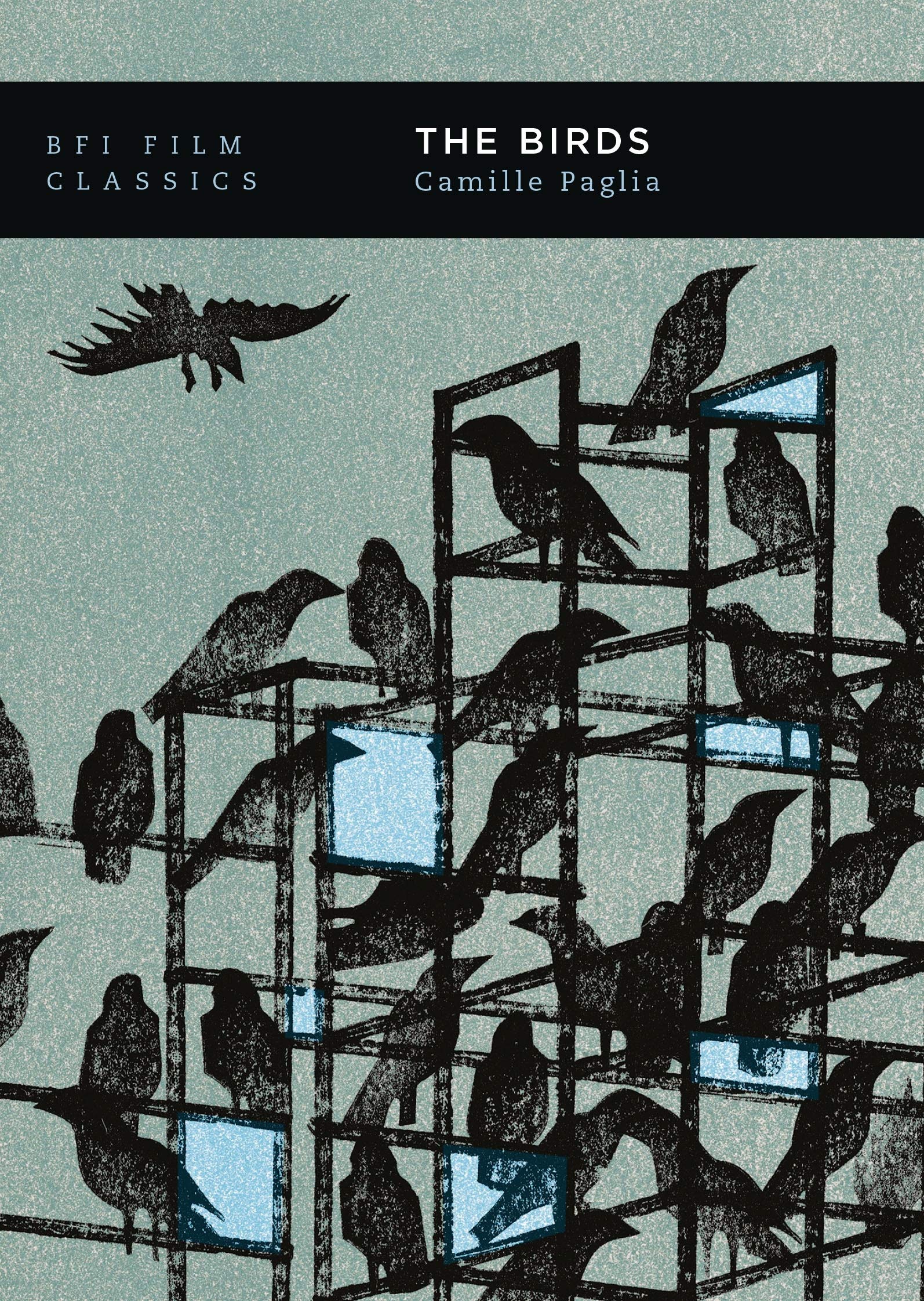 The Birds (BFI Film Classics) Film, Art & Culture