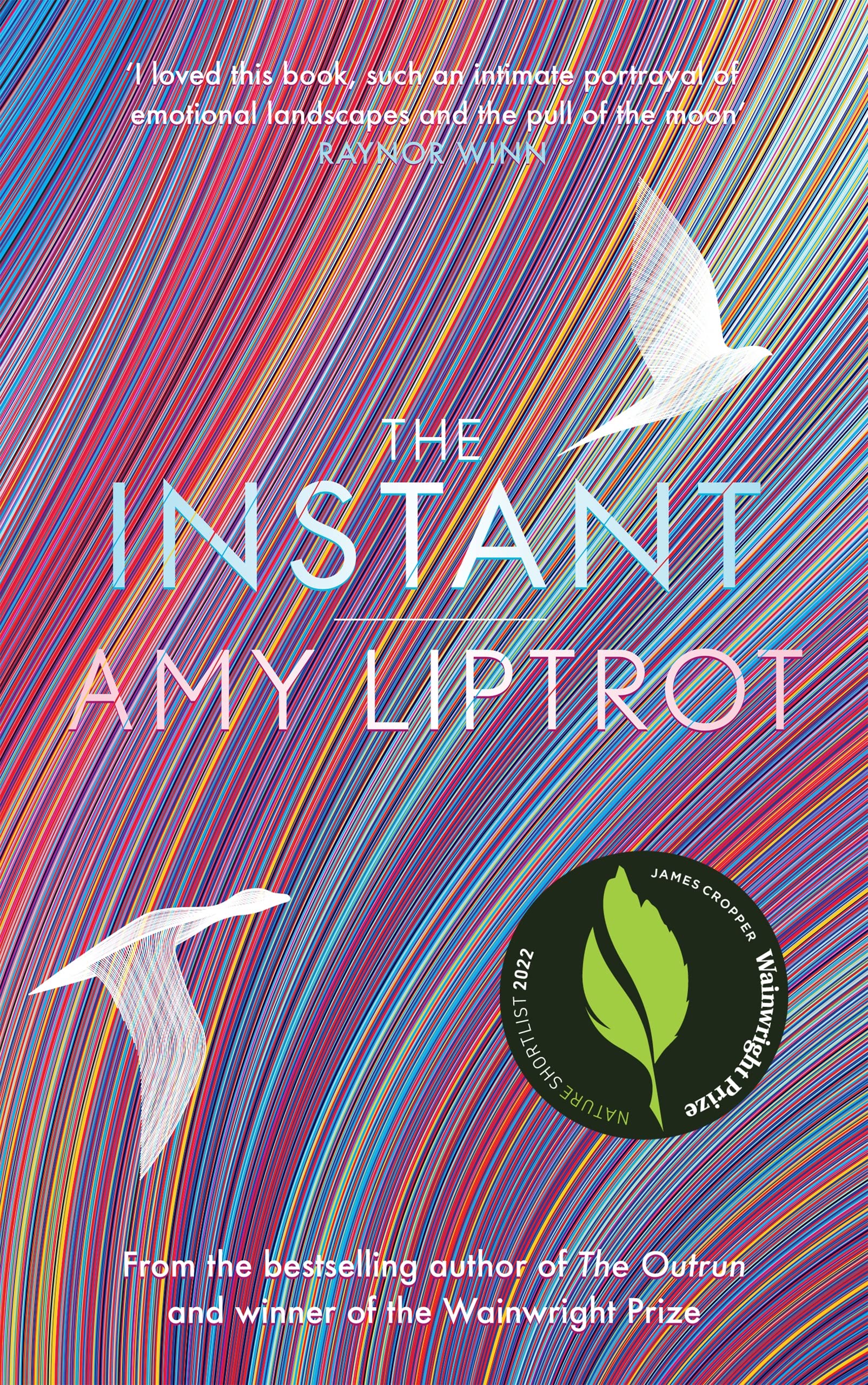 The Instant: Sunday Times Bestseller Art & Literature
