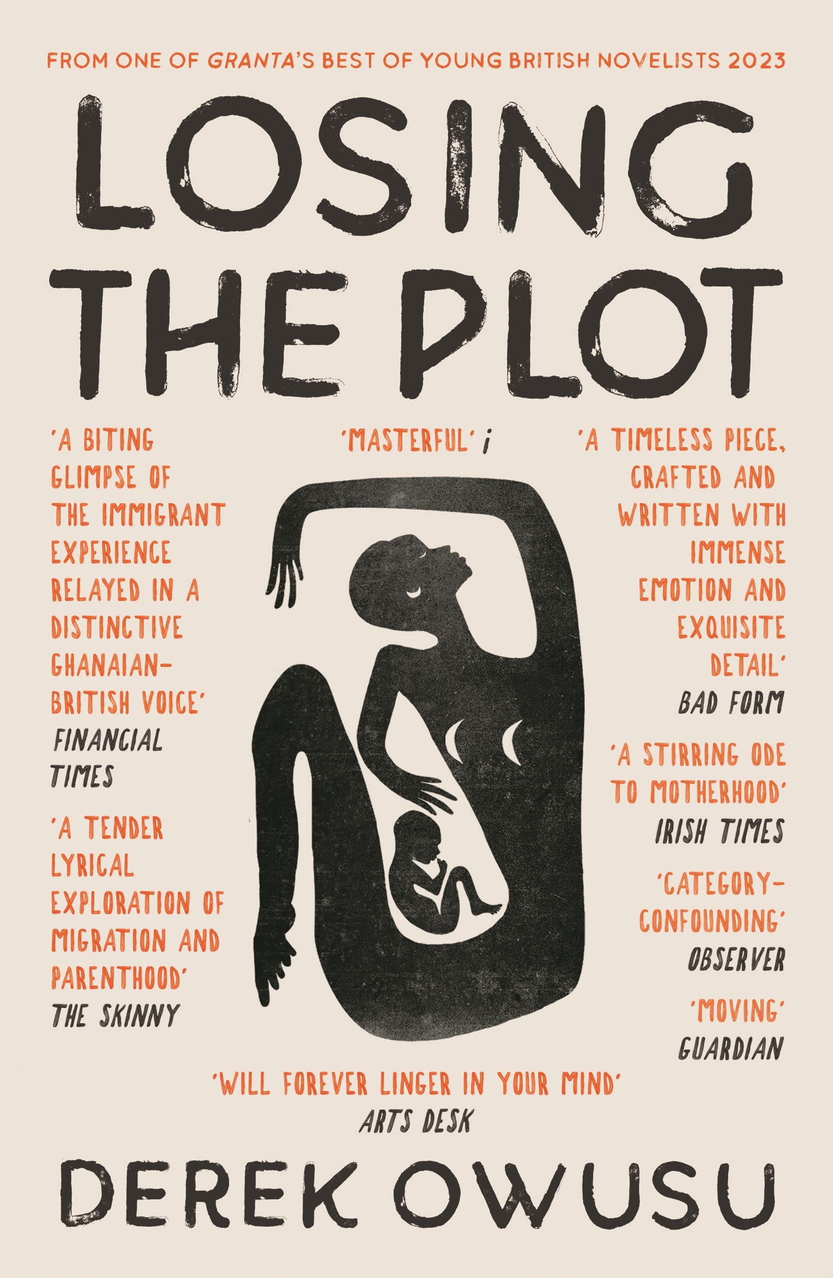 Losing the Plot Contemporary literature Books