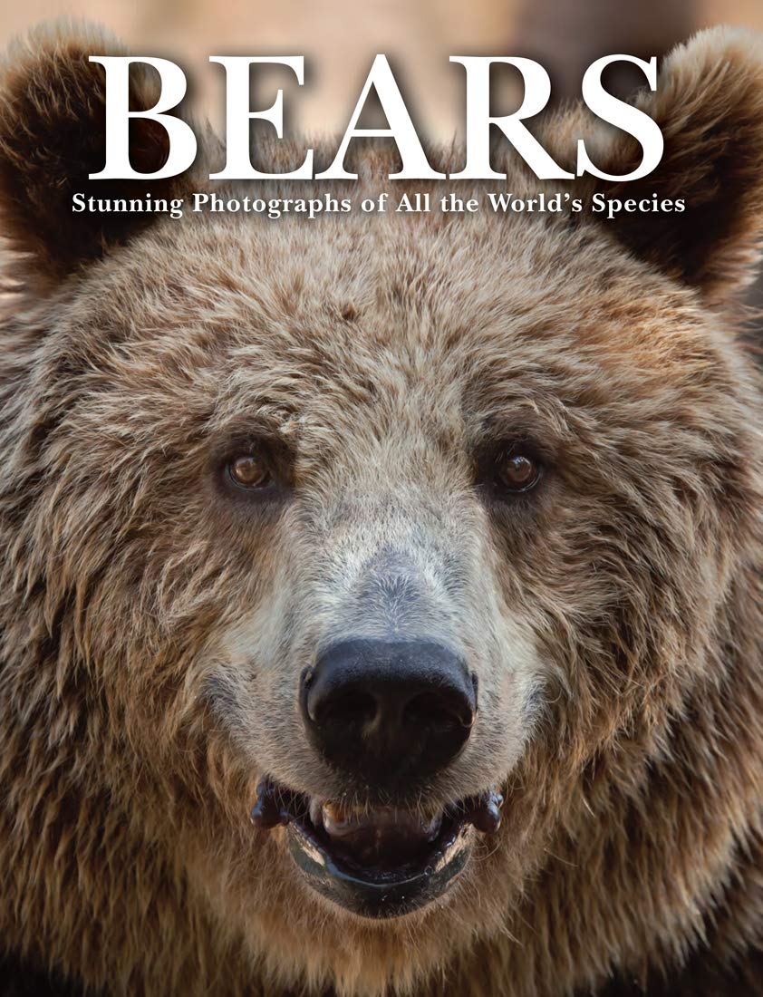 Bears: Stunning Photographs of All the World's Species (Animals in Photographs) Mathematics