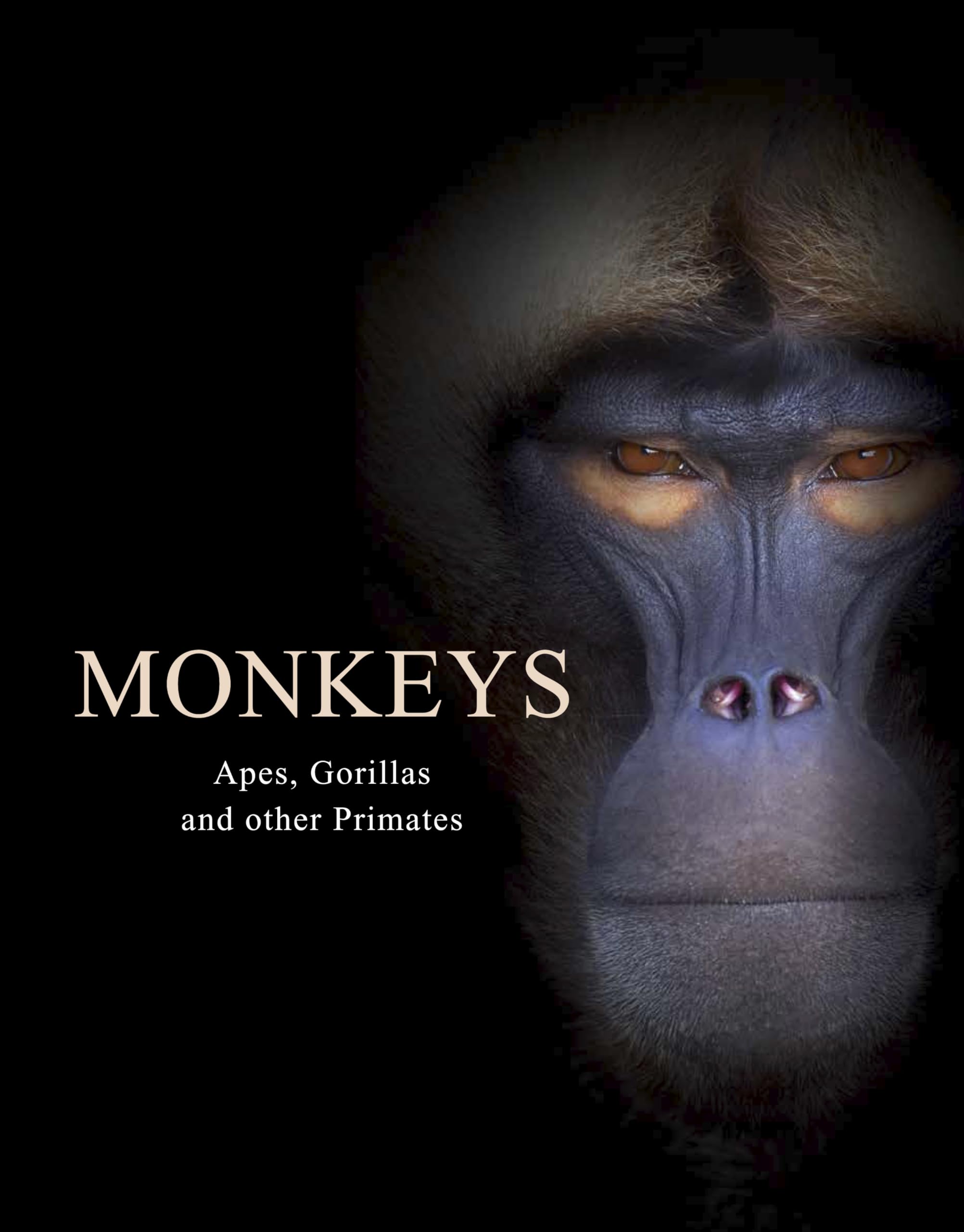 Monkeys: Apes, Gorillas and Other Primates (Animals in Photographs) Mathematics