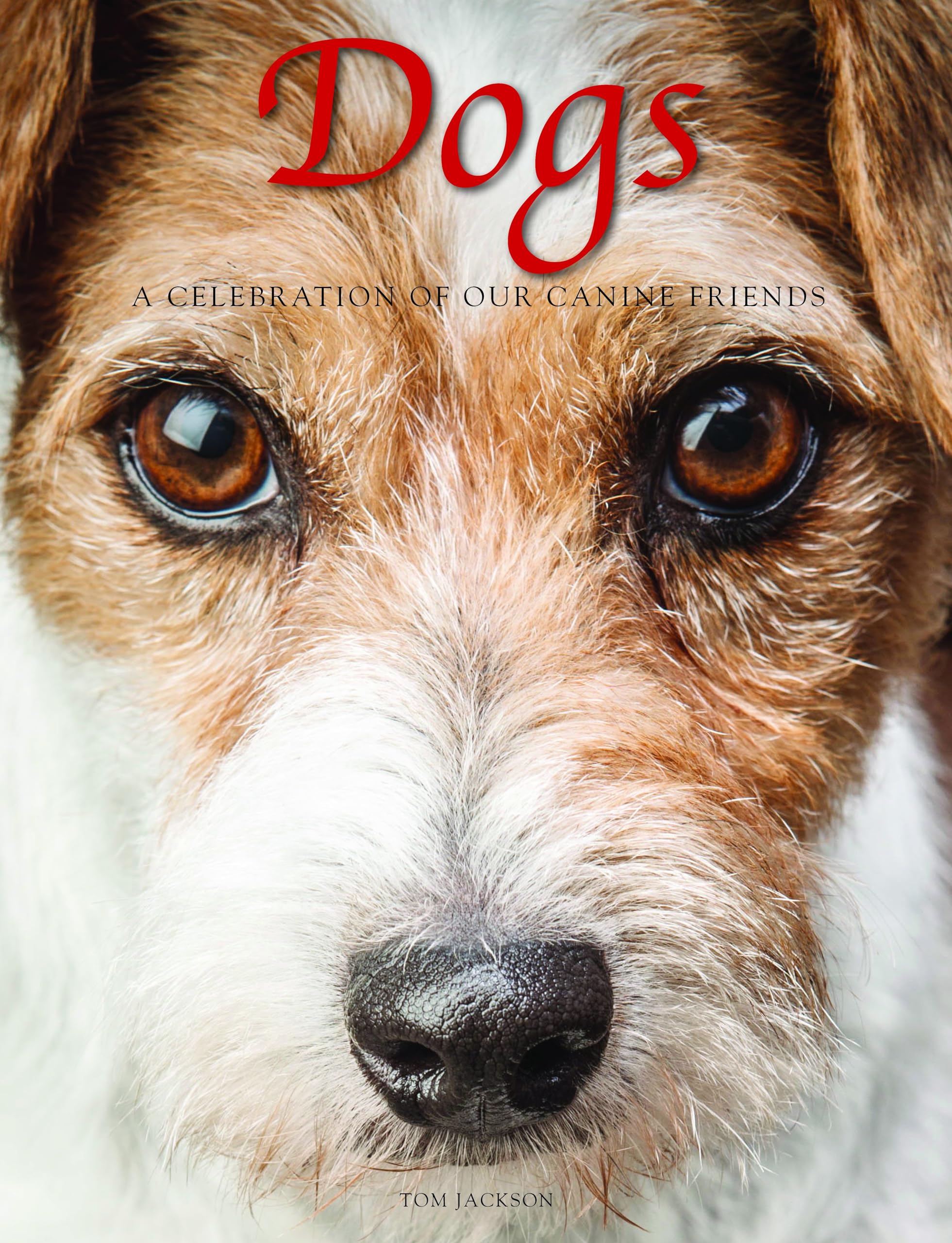 Dogs: A Celebration of Our Canine Friends (Animals in Photographs) Mathematics