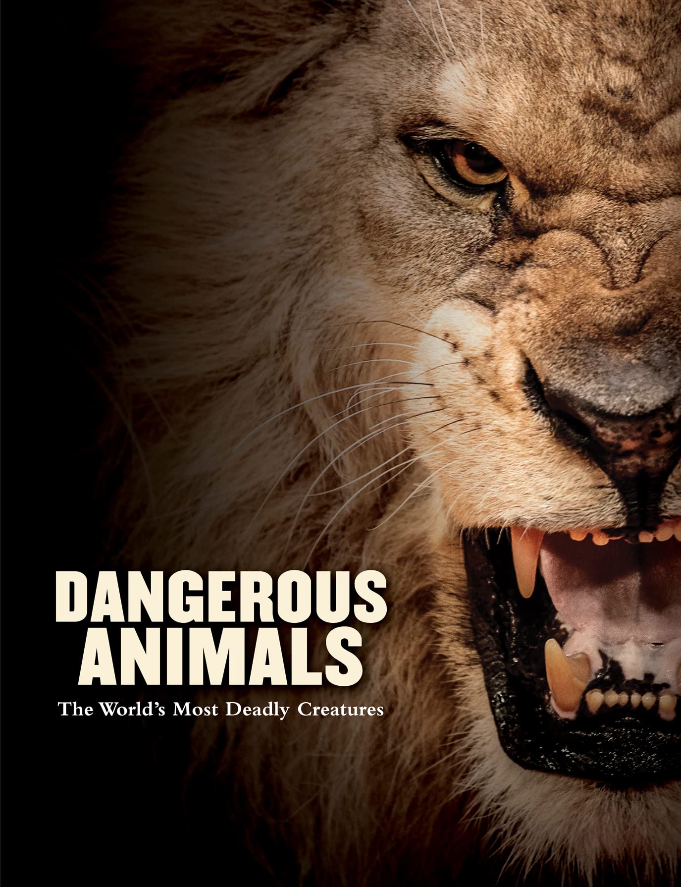 Dangerous Animals: The World's Most Deadly Creatures (Animals in Photographs) Mathematics