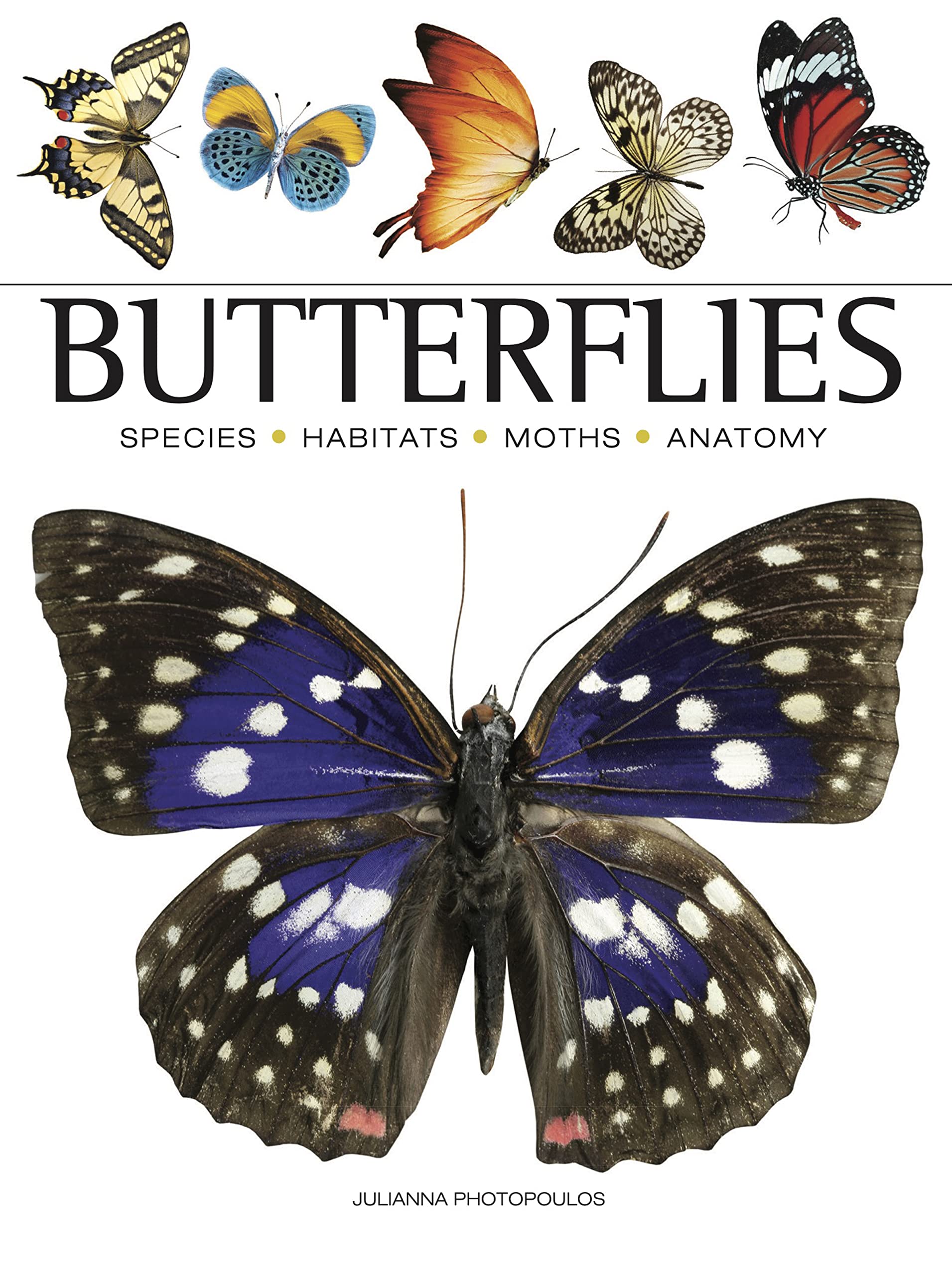 Butterflies (Mini Encyclopedia) Mathematics