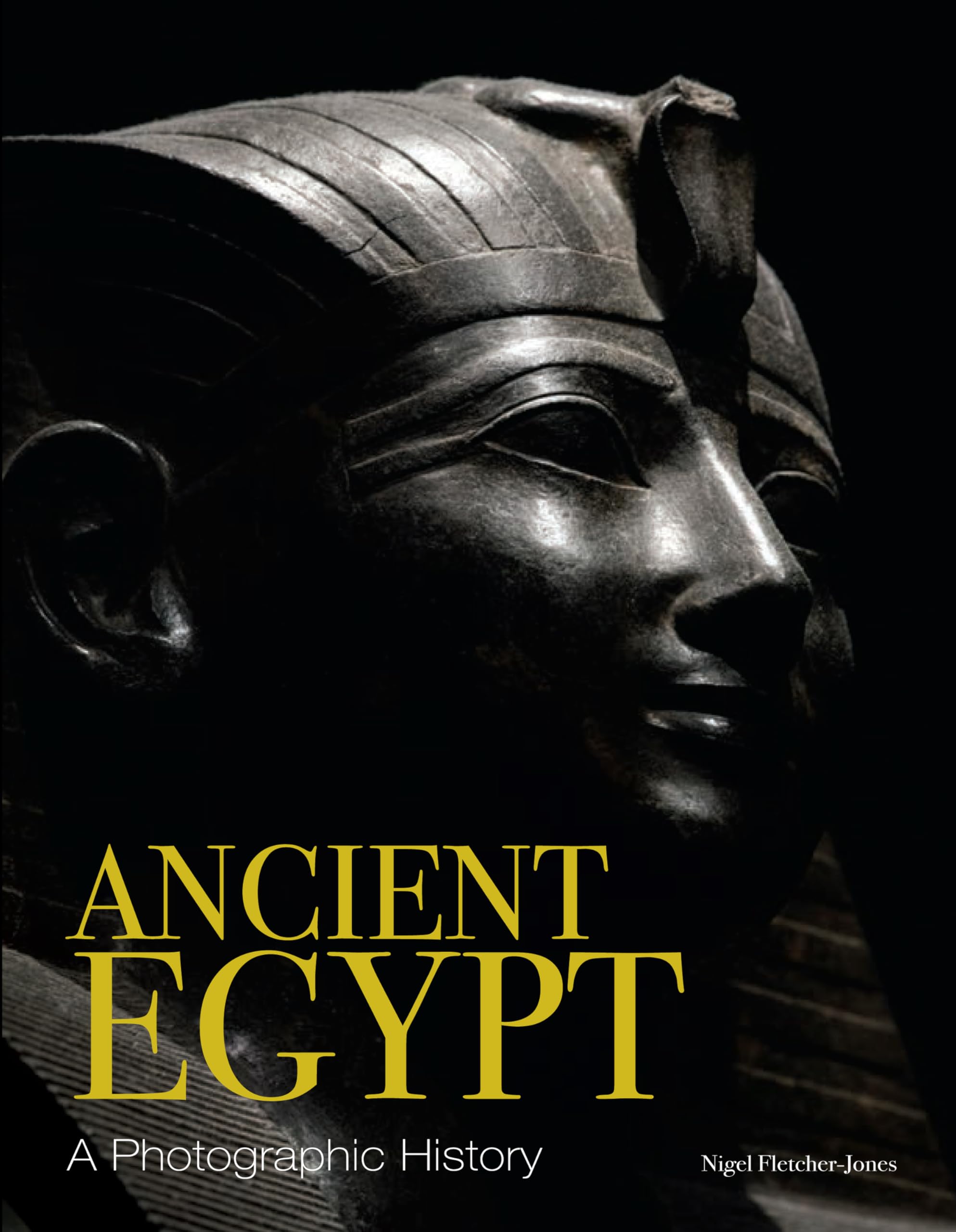 Ancient Egypt: A Photographic History (History in Photographs) Social Sciences