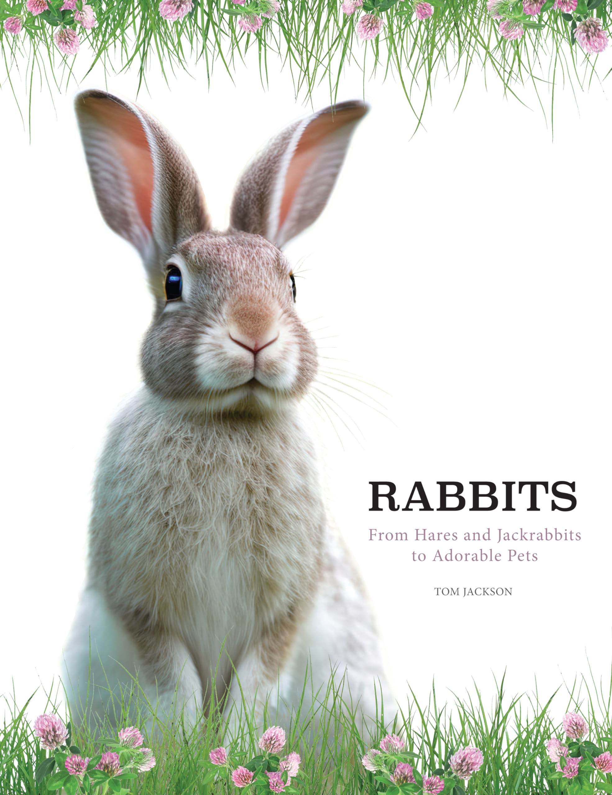 Rabbits: From Hares and Jackrabbits to Adorable Pets (Animals in Photographs) Mathematics