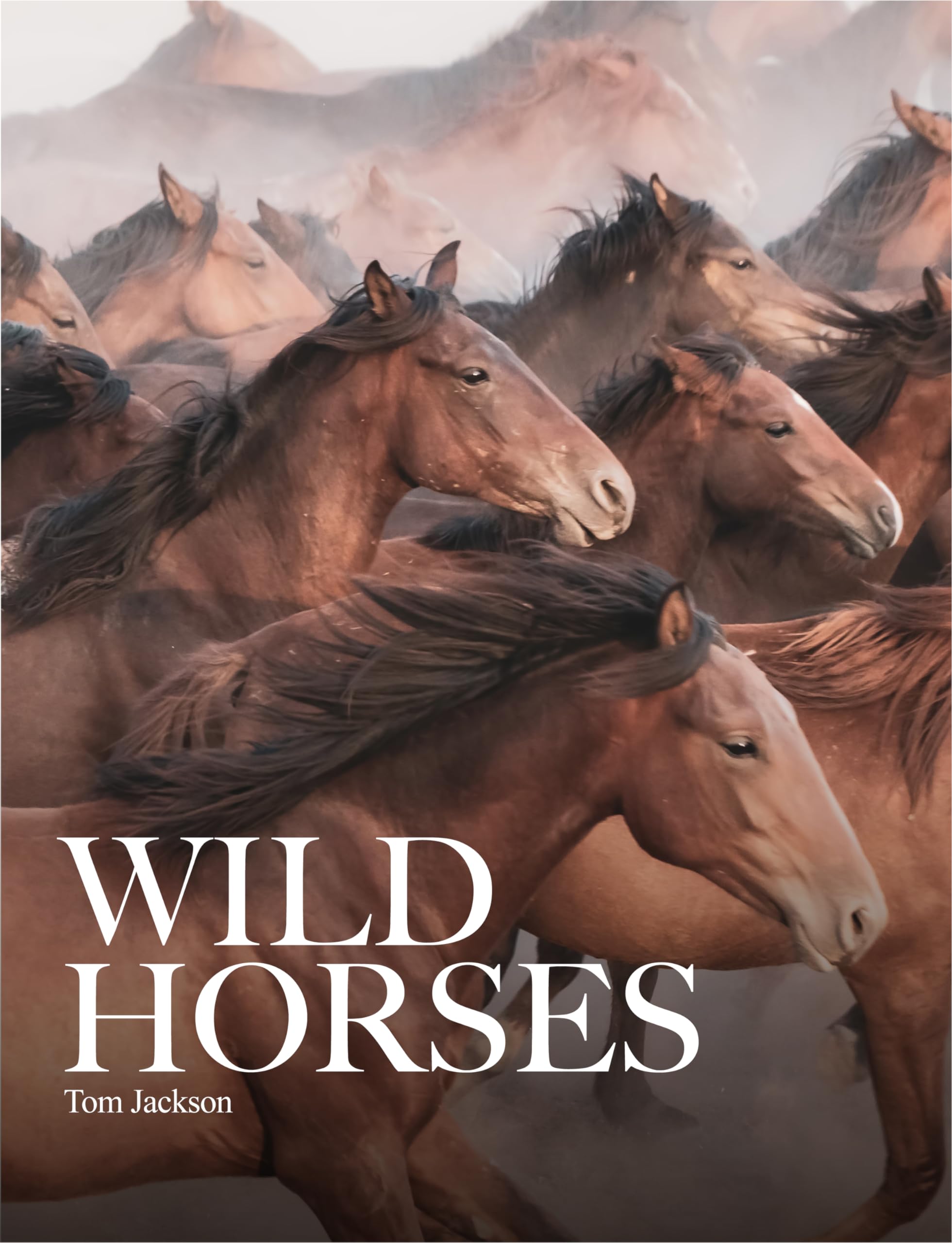 Wild Horses (Animals in Photographs) Mathematics