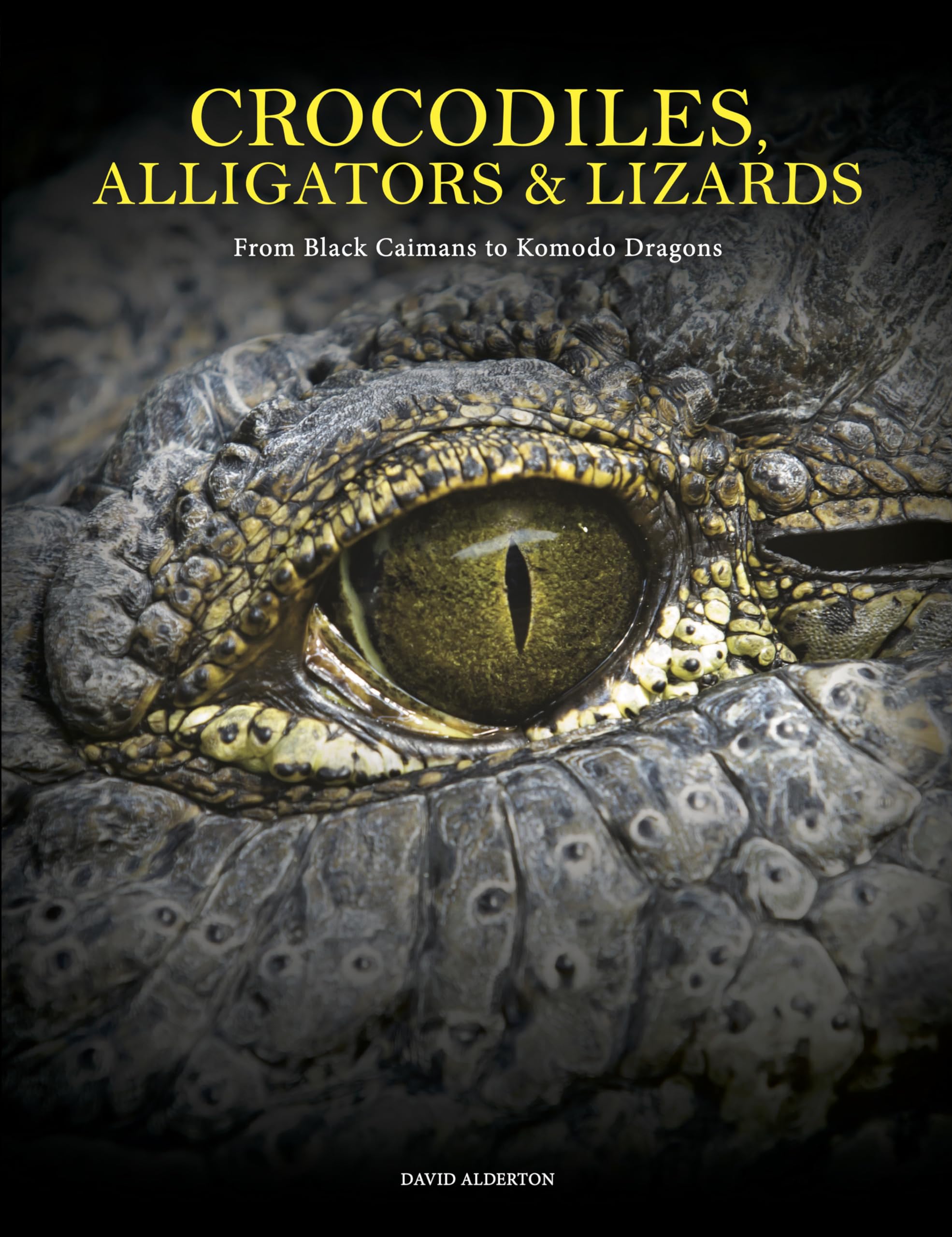 Crocodiles, Alligators & Lizards: From Black Caimans to Komodo Dragons (Animals in Photographs) Geology & Geography