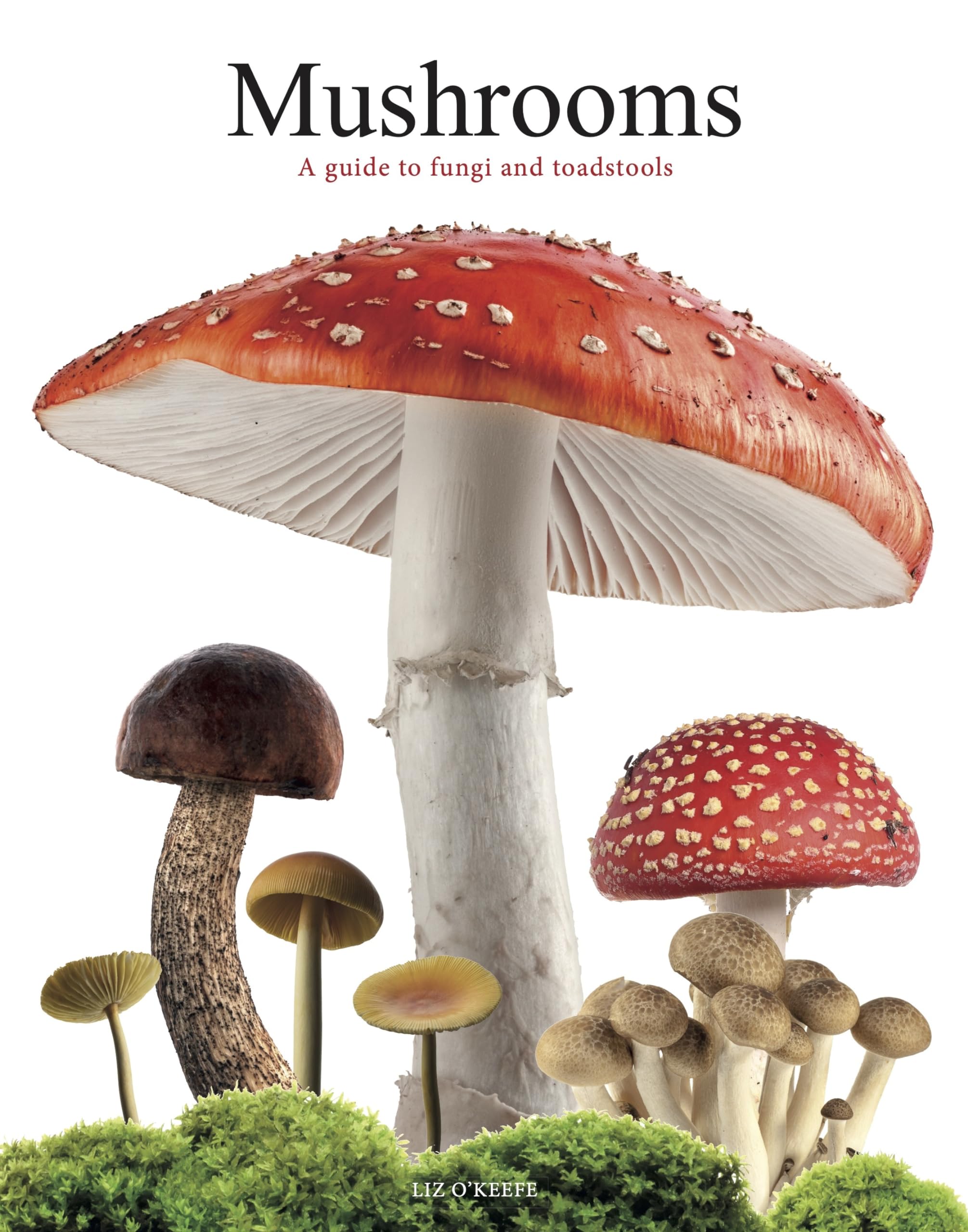 Mushrooms: A guide to fungi and toadstools Mathematics