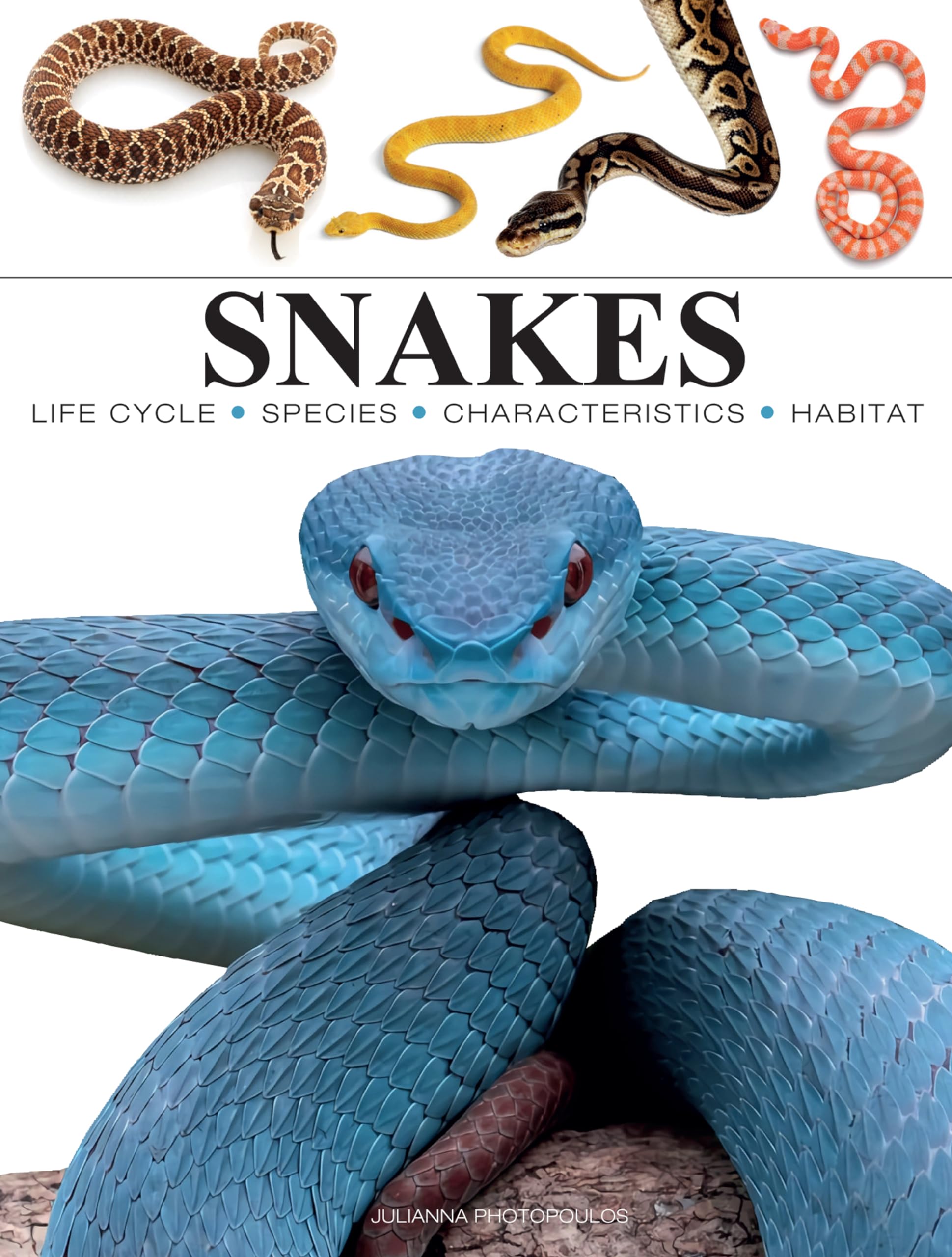 Snakes (Mini Encyclopedia) Mathematics