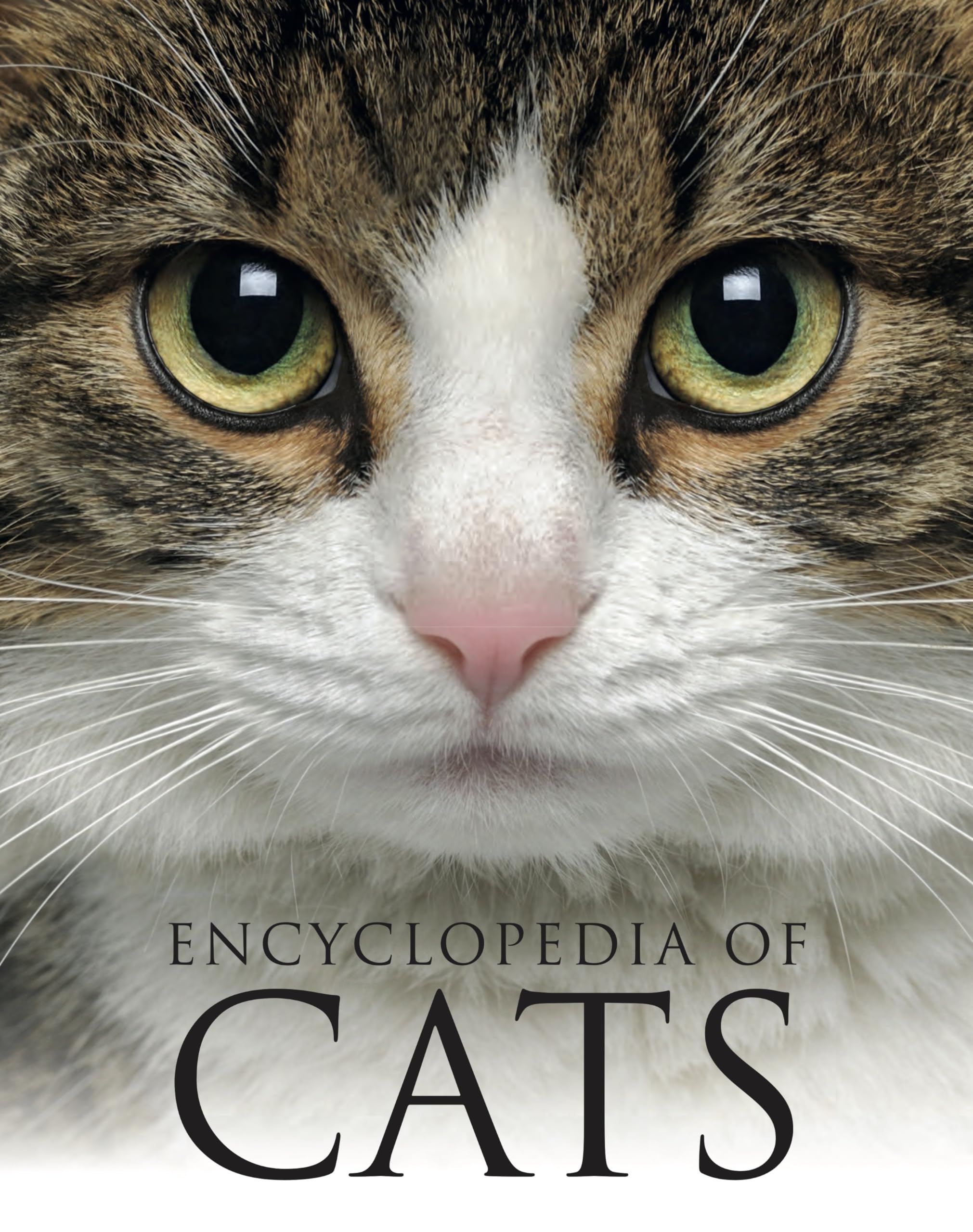 Encyclopedia of Cats (Encyclopedias) Mathematics