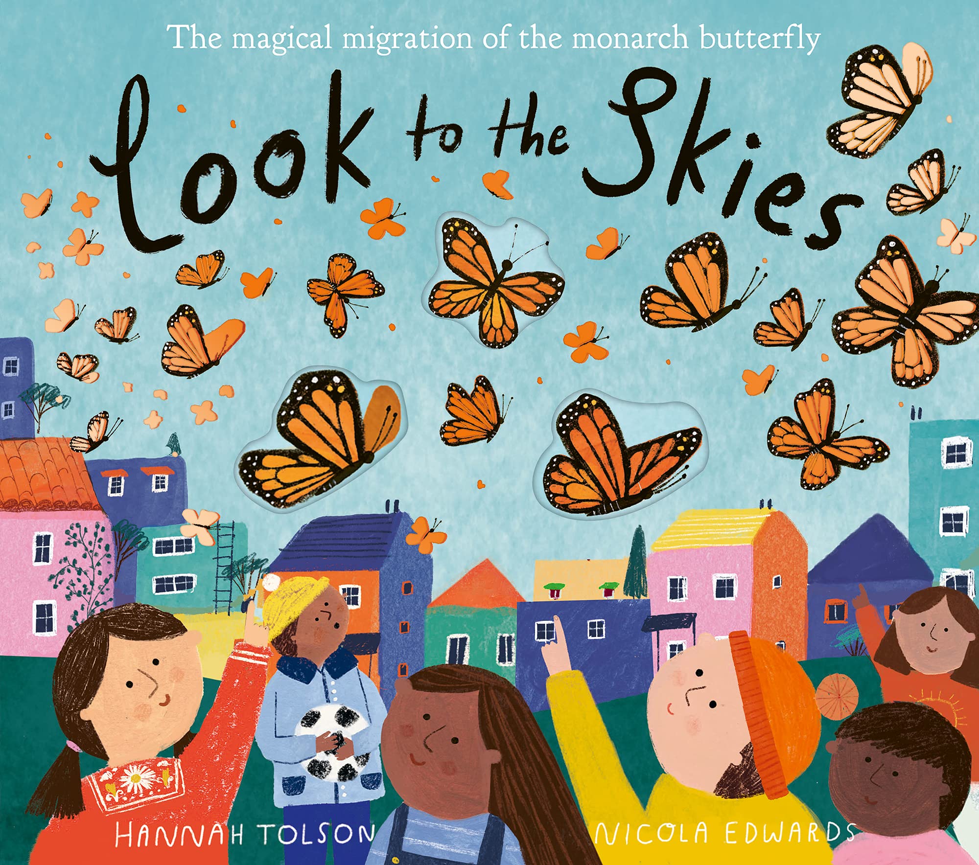 Look to the Skies book