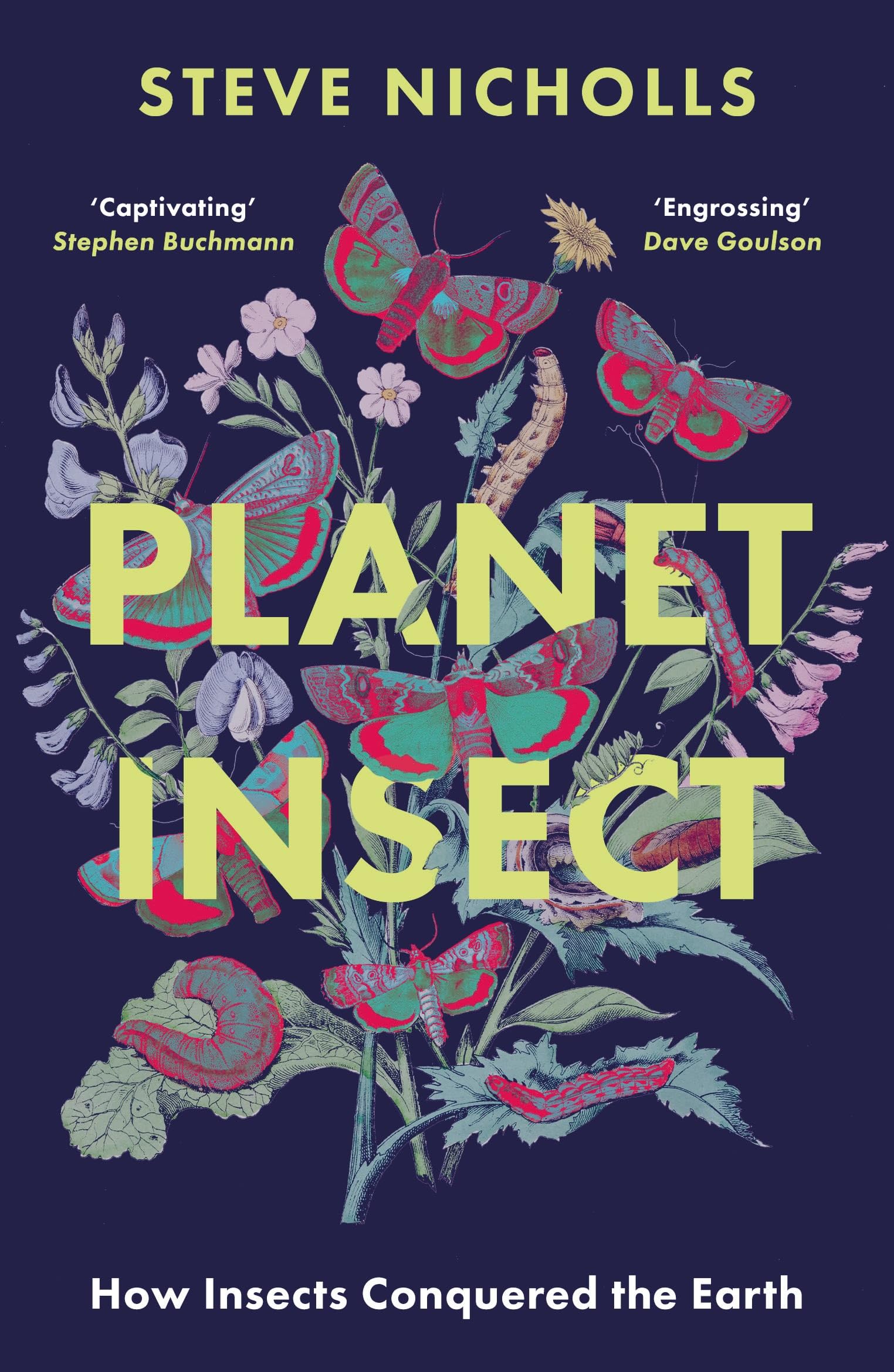 Planet Insect: How Insects Conquered The Earth (An Apollo book) Mathematics