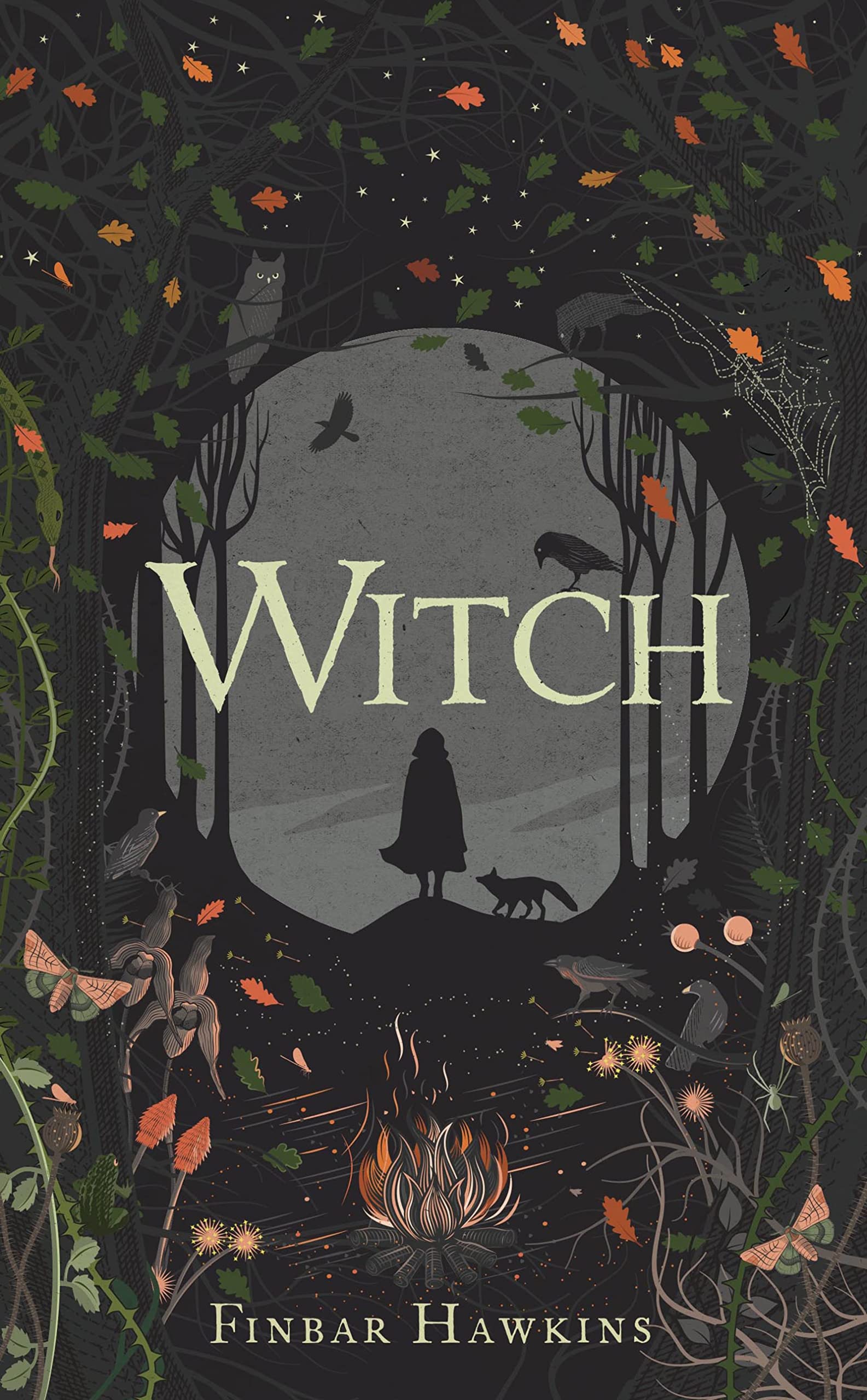 Hawkins, F: Witch Fiction books for children