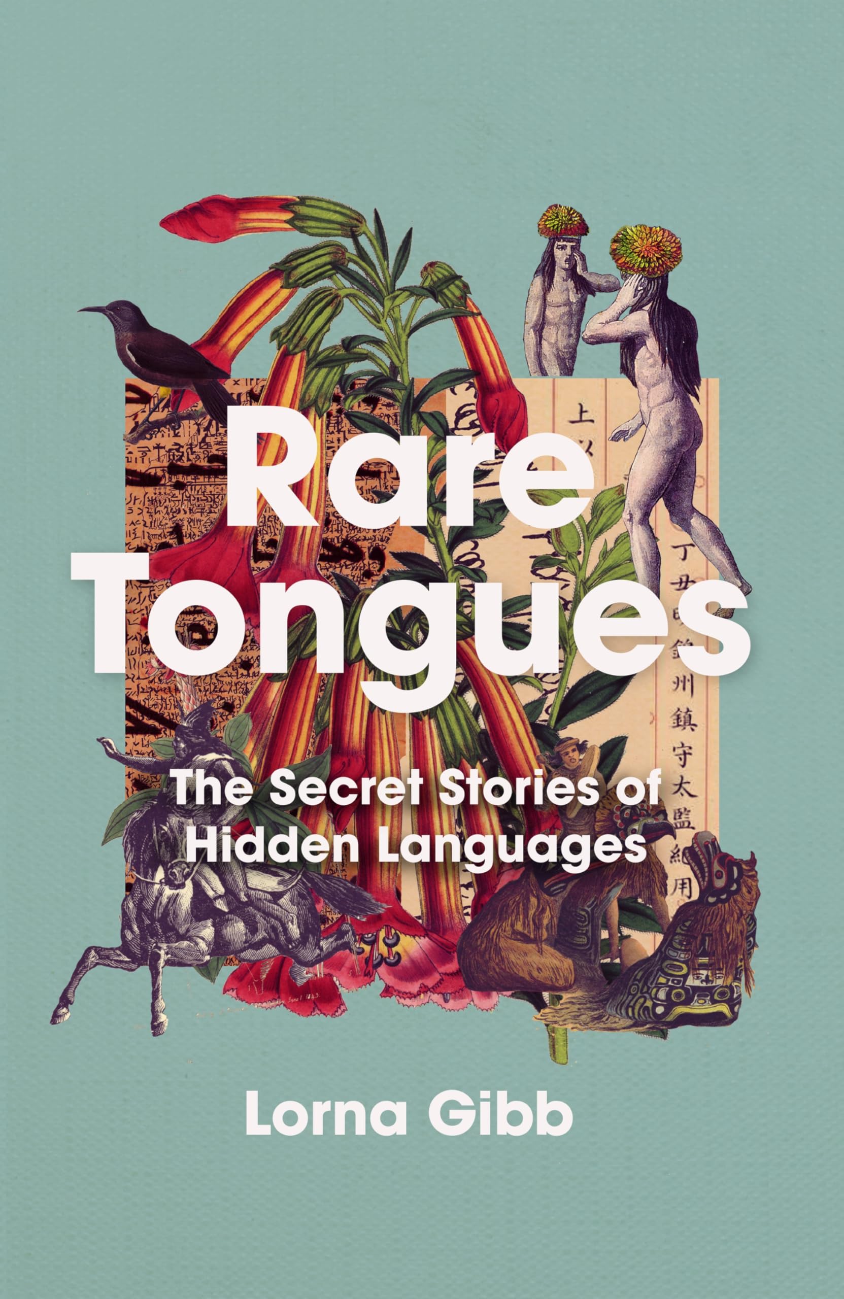 Rare Tongues: The Secret Stories of Hidden Languages book