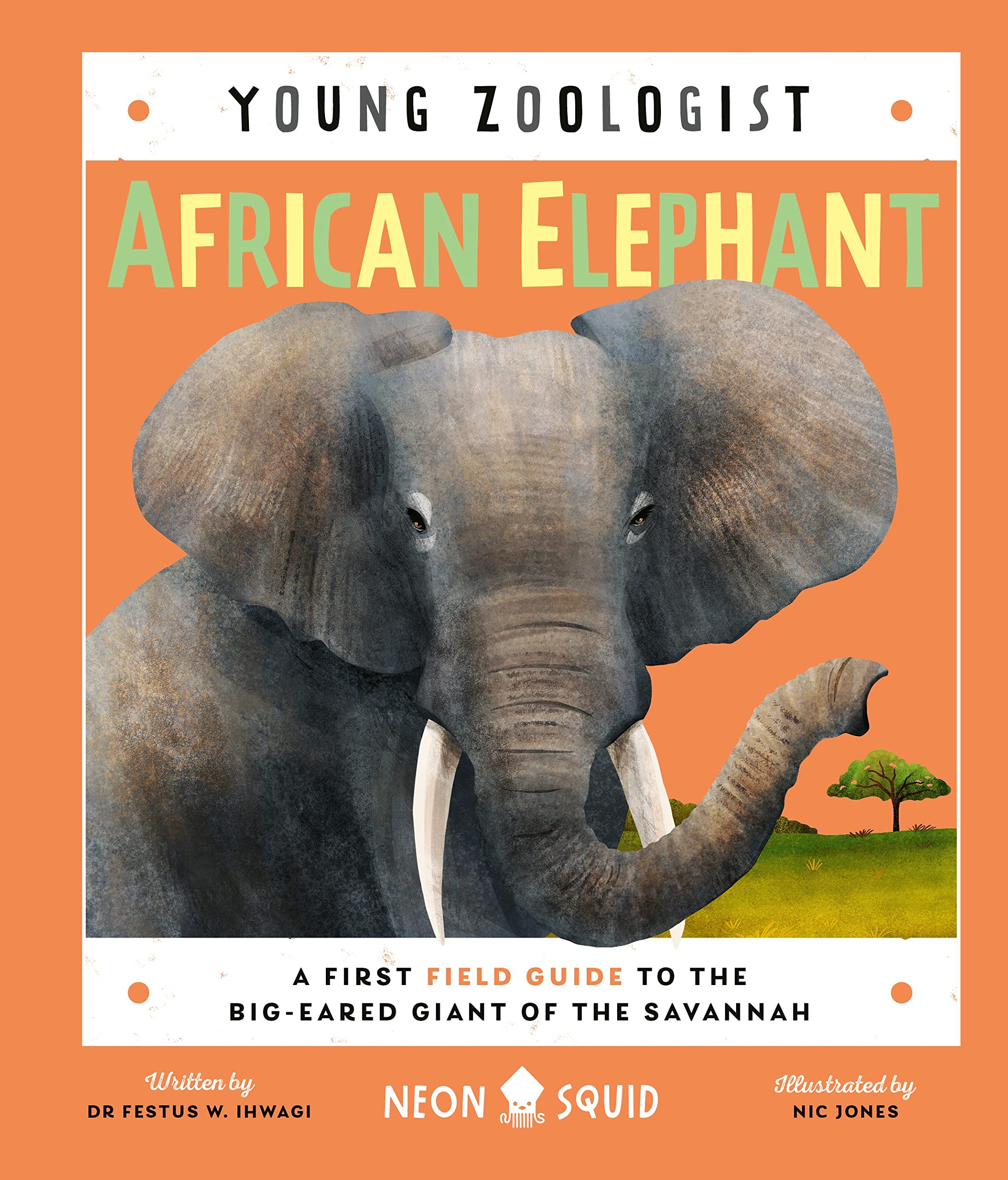African Elephant (Young Zoologist): A First Field Guide to the Big-Eared Giant of the Savannah (Young Zoologist, 4) Natural Sciences