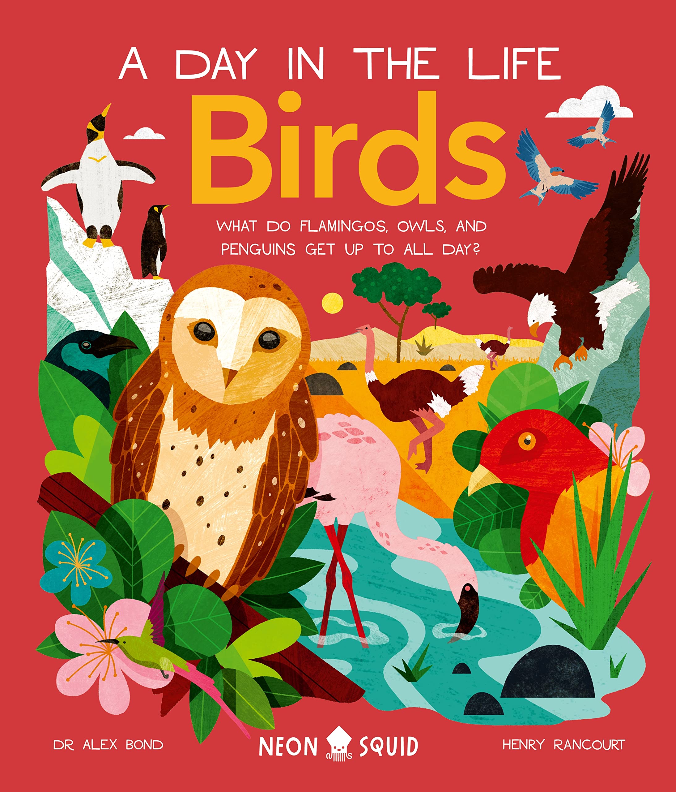 Birds (A Day in the Life): What Do Flamingos, Owls, and Penguins Get Up To All Day? Non-fiction