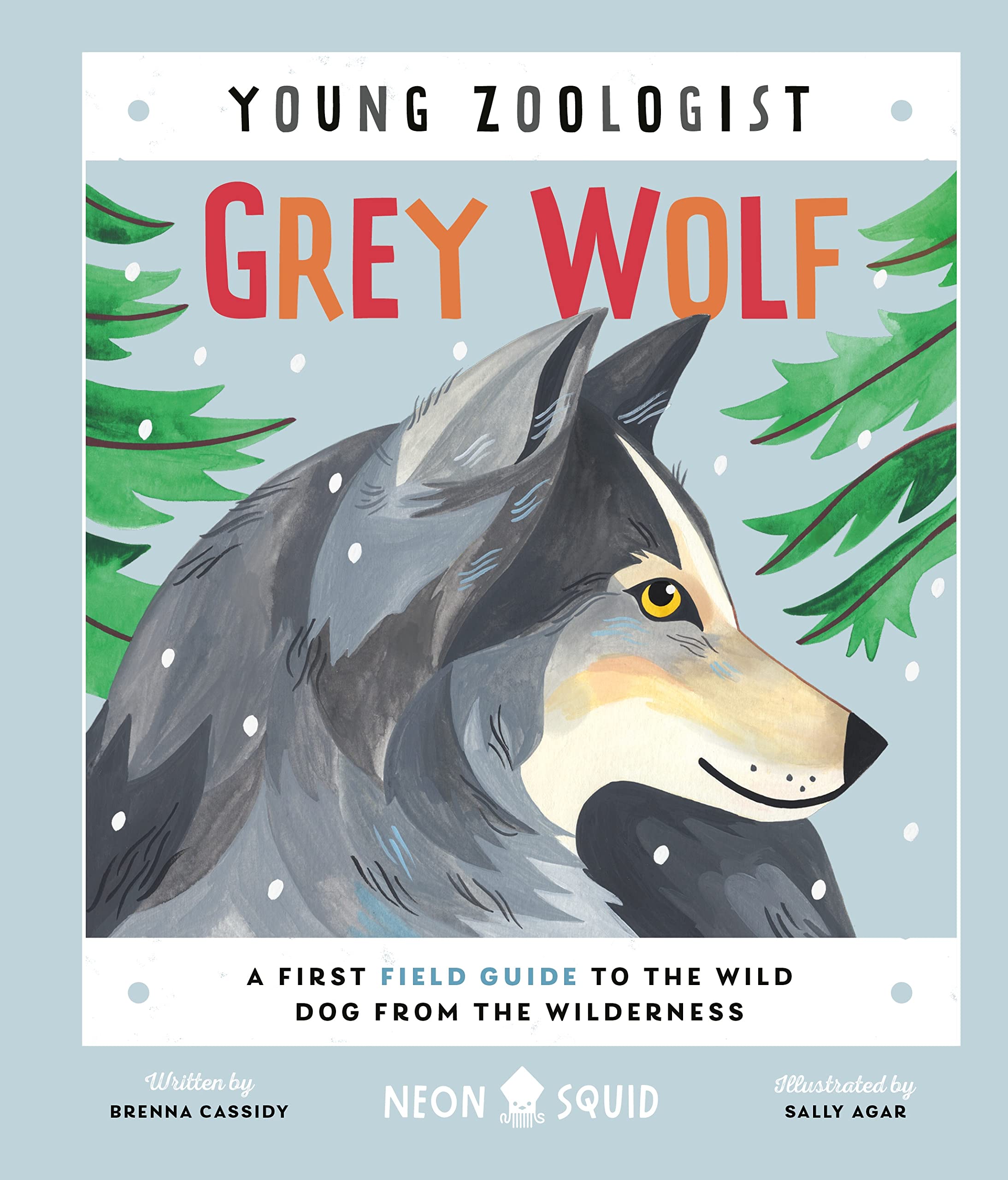 Grey Wolf (Young Zoologist): A First Field Guide to the Wild Dog from the Wilderness (Young Zoologist, 8) Natural Sciences