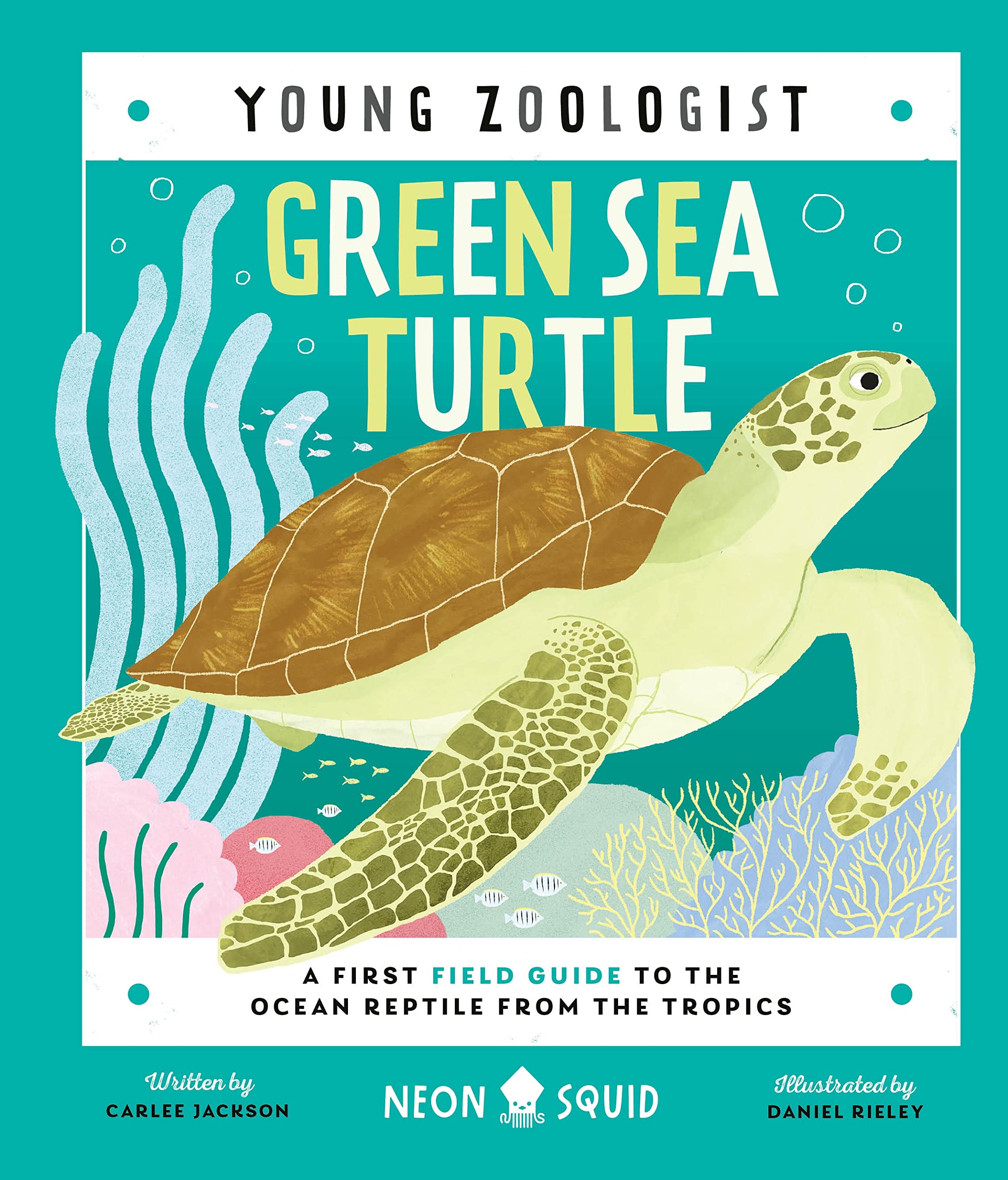 Green Sea Turtle (Young Zoologist): A First Field Guide to the Ocean Reptile from the Tropics (Young Zoologist, 7) Natural Sciences