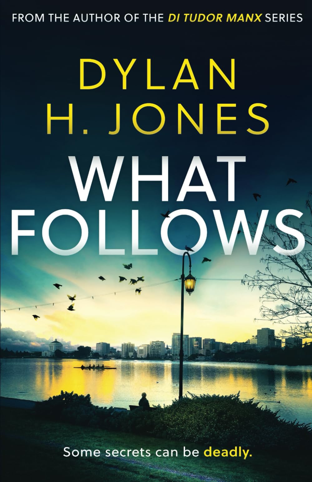 WHAT FOLLOWS a gripping crime mystery full of twists Detective & CSI