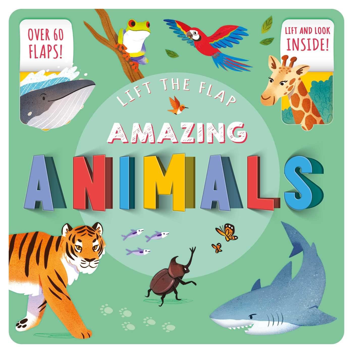 Amazing Animals: Lift-the-flap Fact Book Hobbies & Crafts