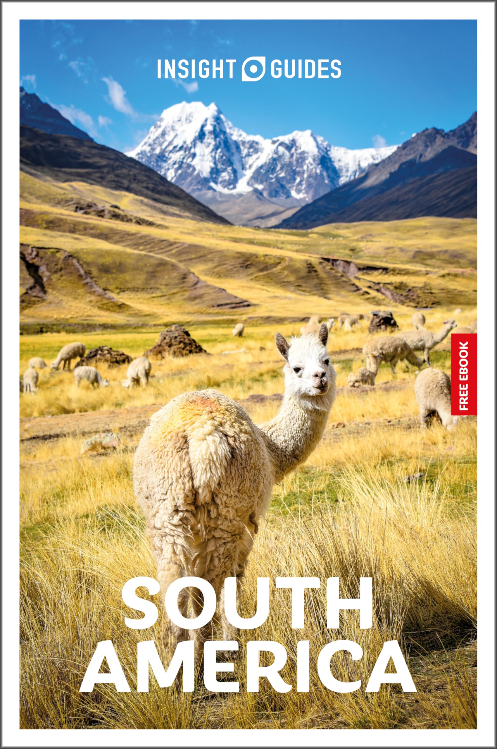 Insight Guides South America: Travel Guide with eBook Leisure, Home & Garden