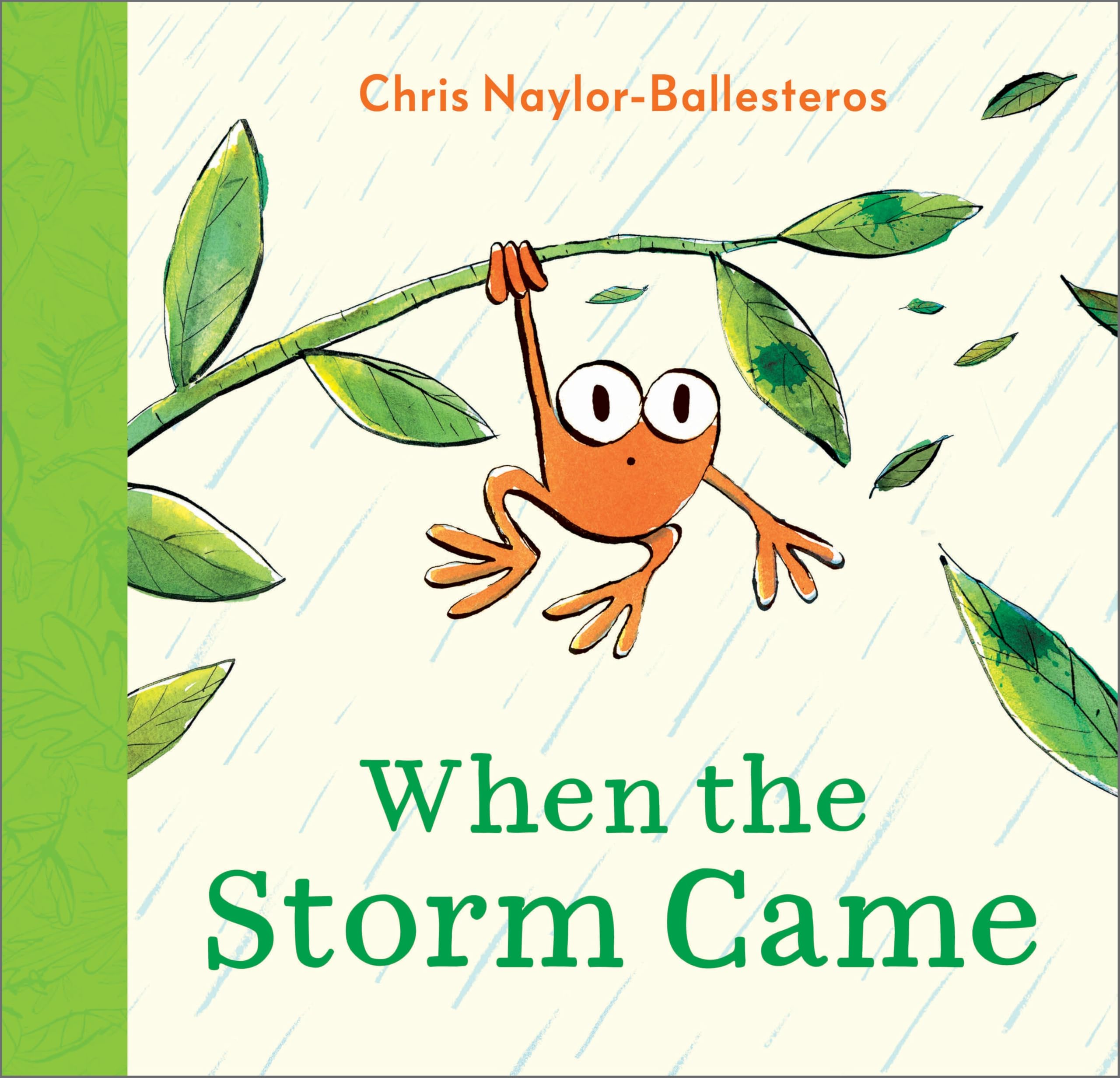 Product Image: When the Storm Came