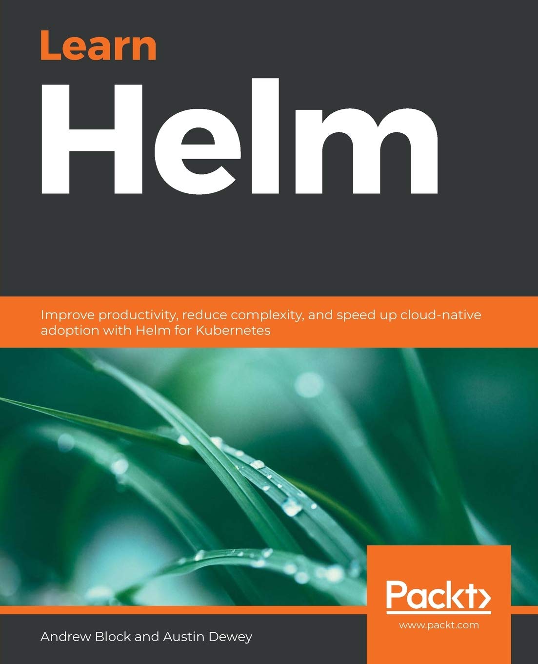 Learn Helm Computer Science