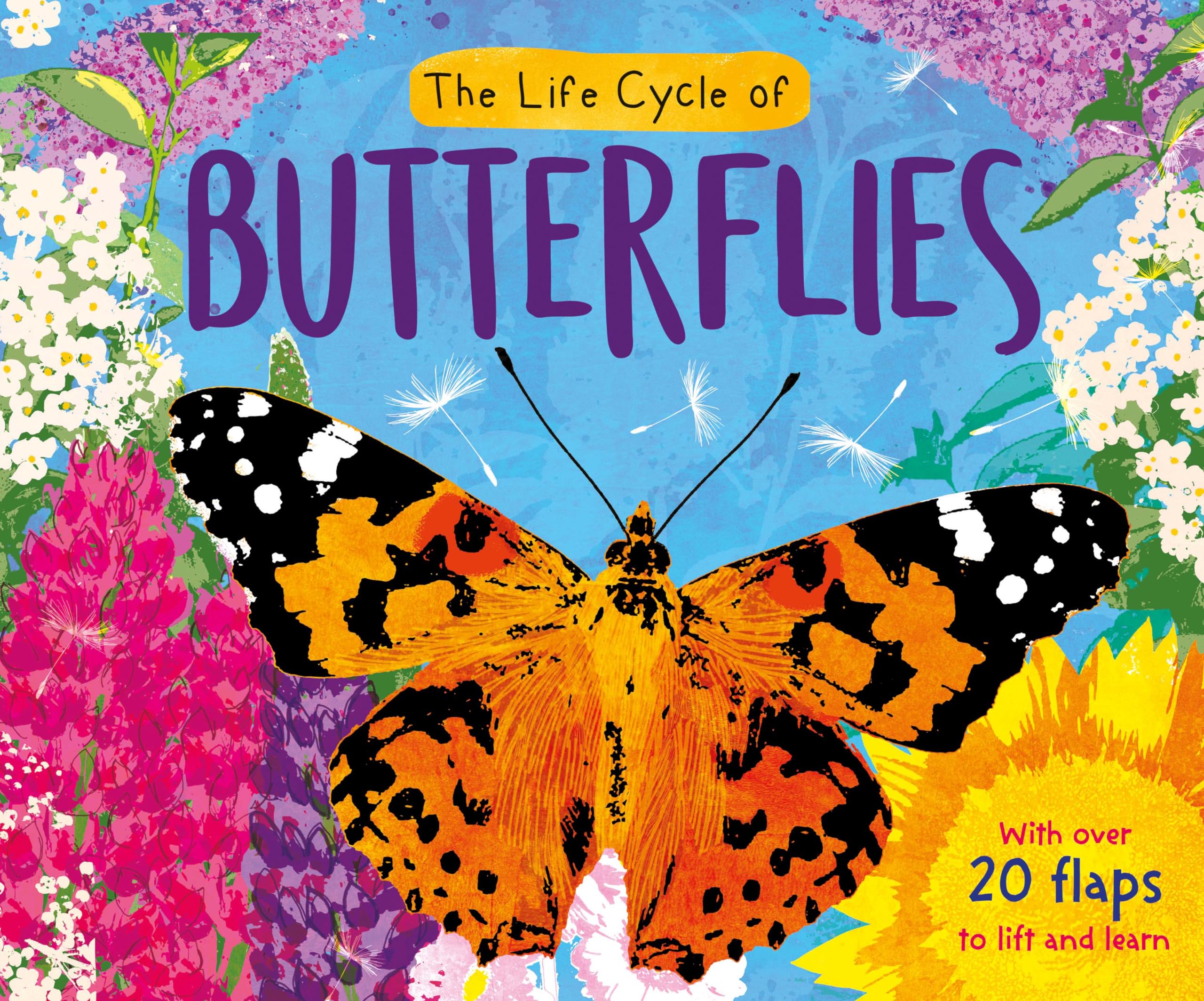 The Life Cycle of Butterflies (Life Cycle Board Book) Non-fiction