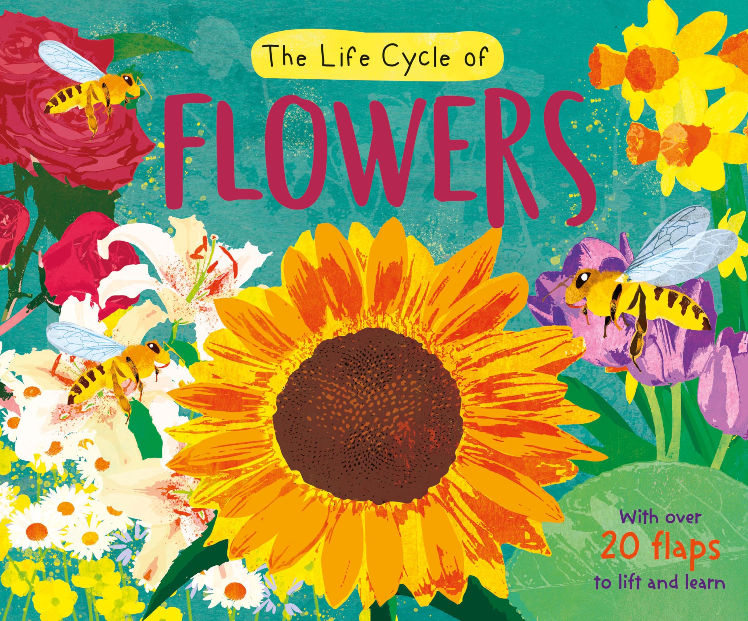The Life Cycle of Flowers book