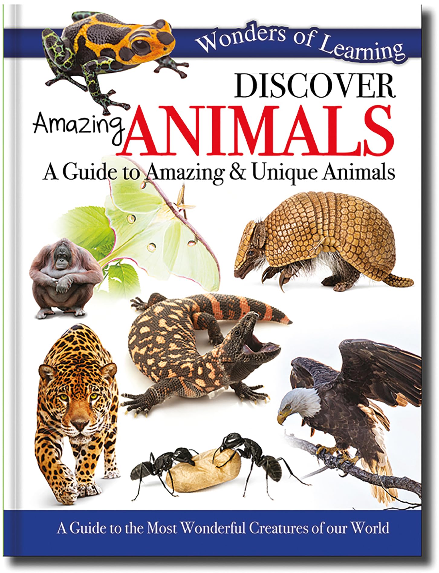 Discover Amazing Animals: A Guide to Amazing & Unique Animals (Wonders of Learning Padded Foil Book) Non-fiction