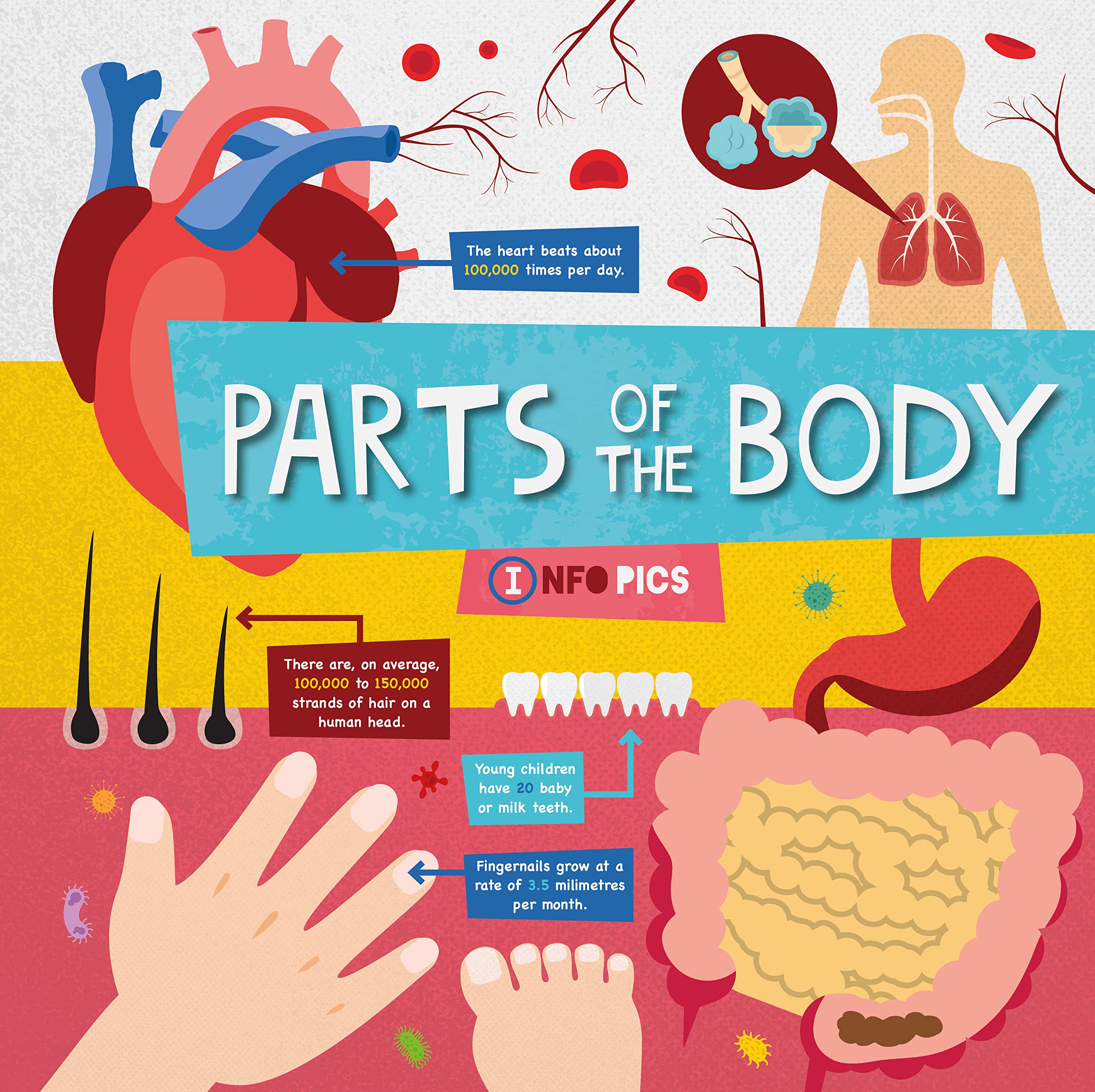 Parts of the Body Non-fiction