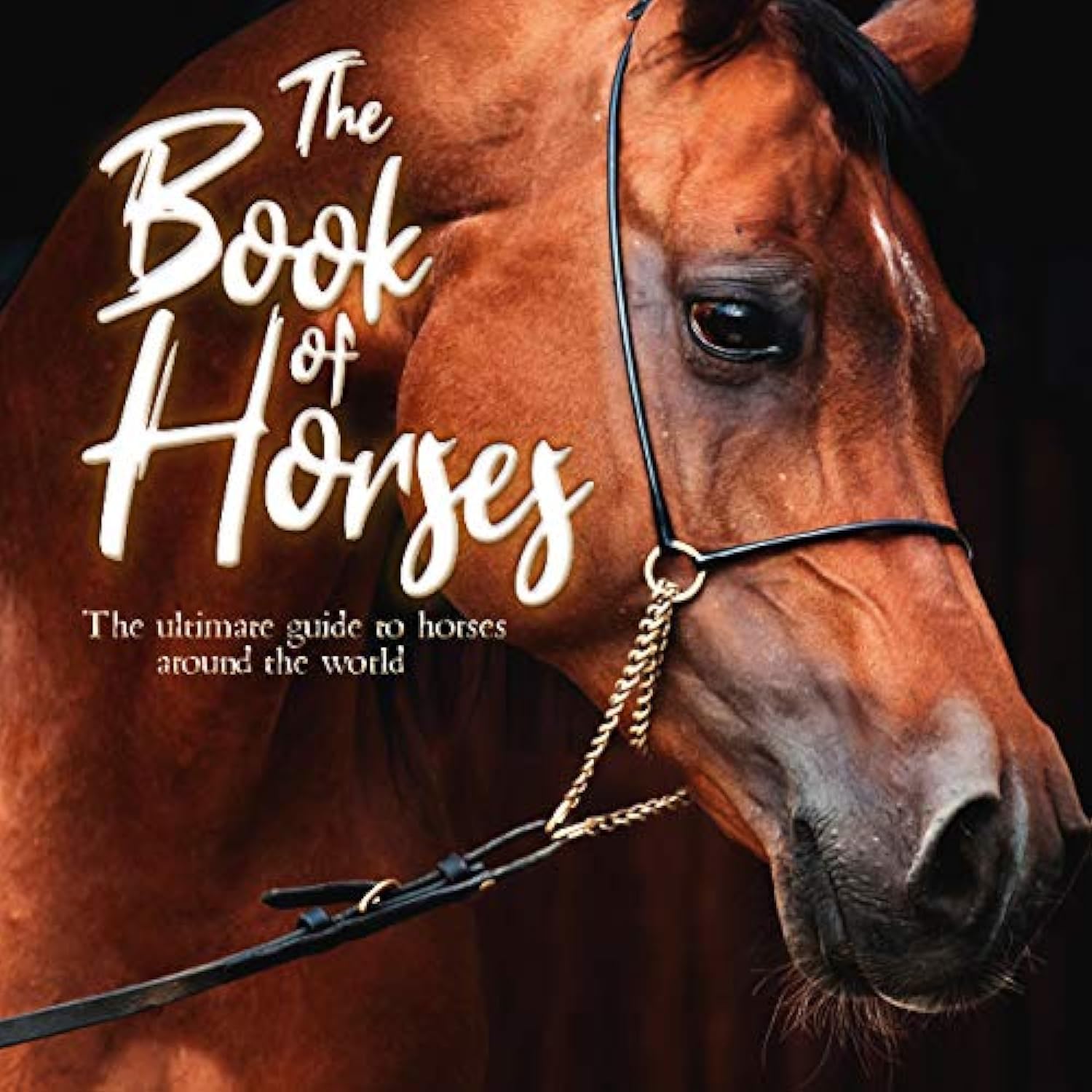 The Book of Horses: The Ultimate Guide to Horses Around the World Leisure & Fun