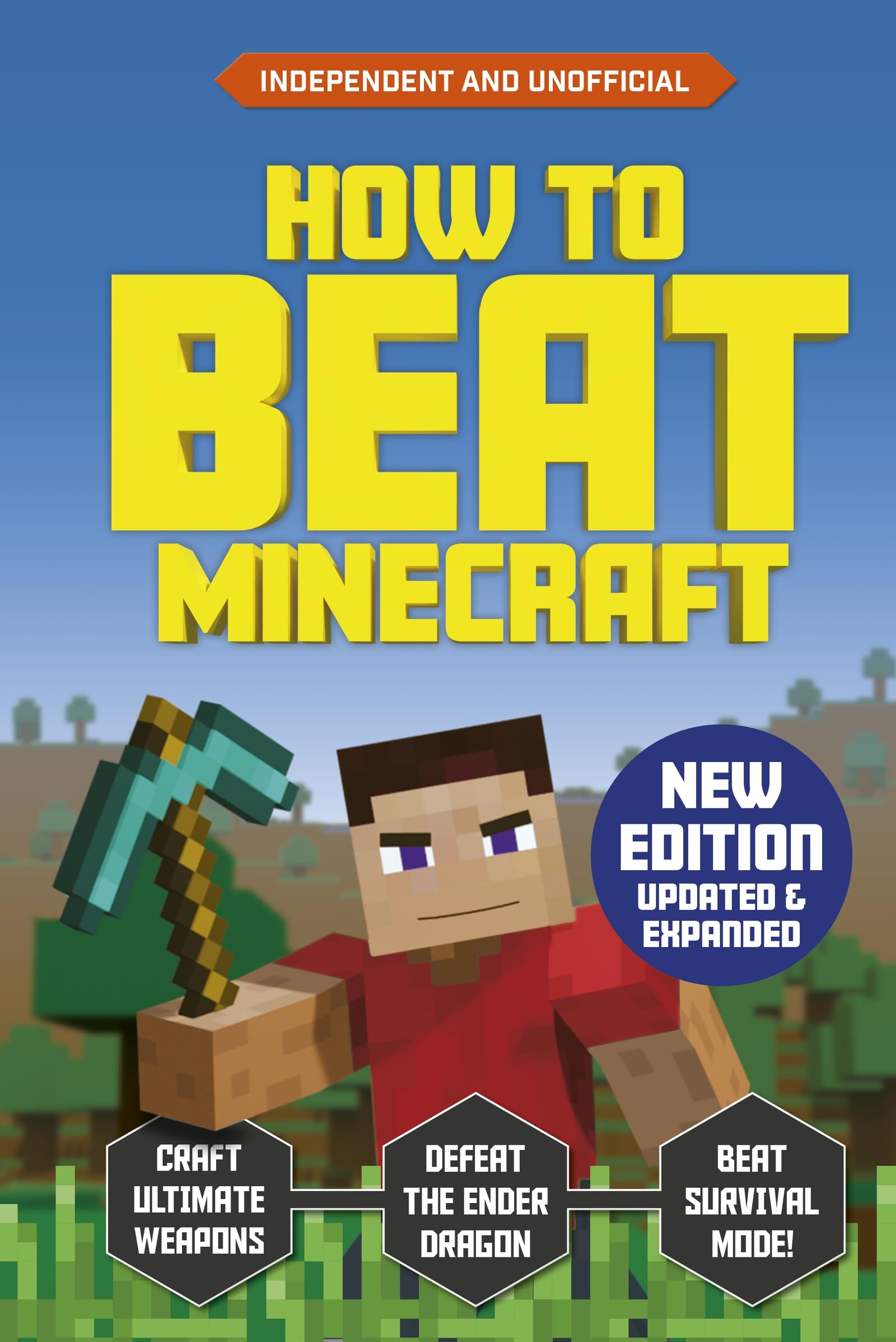 How to Beat Minecraft: Independent and Unofficial Tiptoi & Games