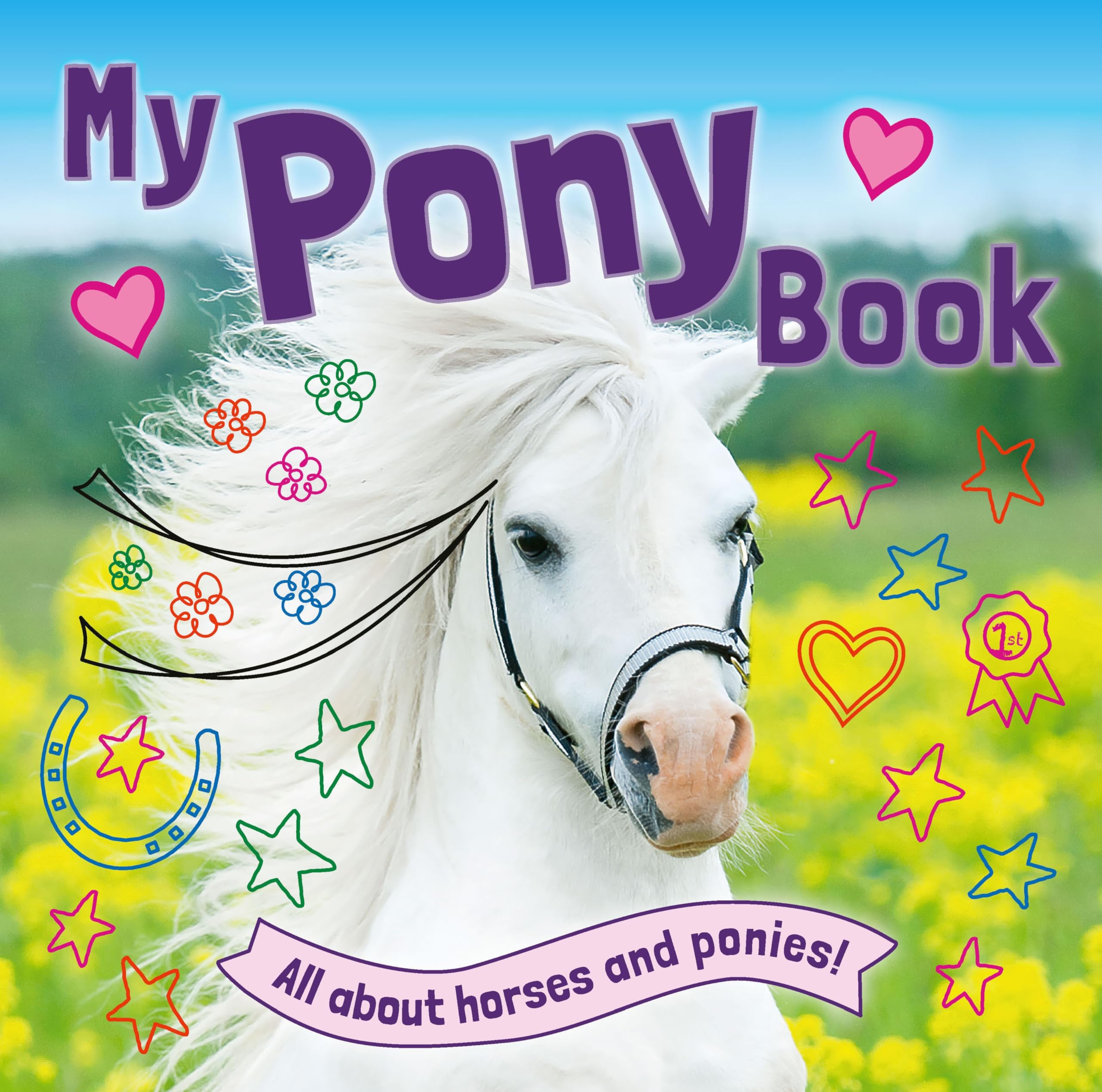 My Pony Book: All About Horses and Ponies! Non-fiction