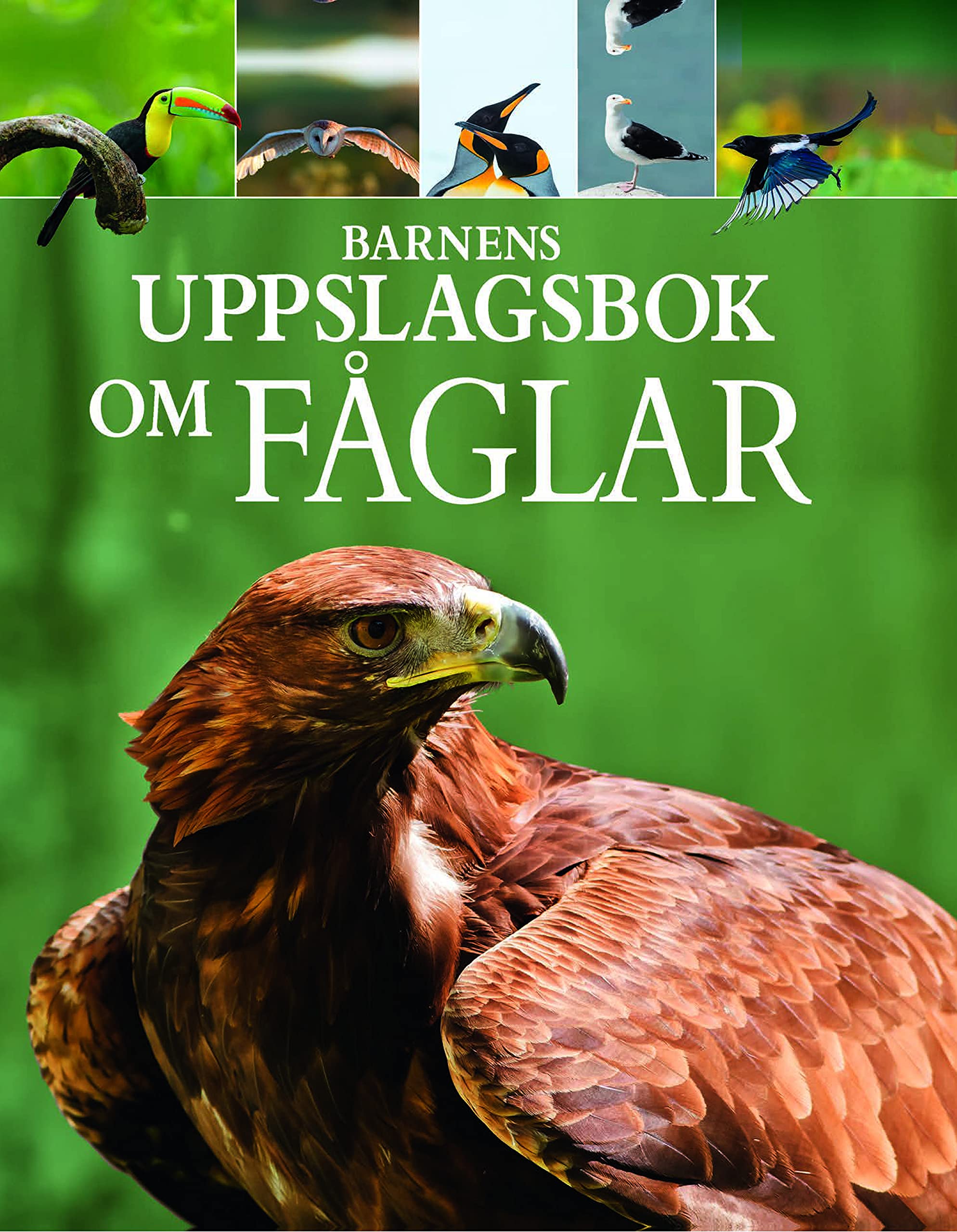 Barnens uppslagsbok om Fåglar Books