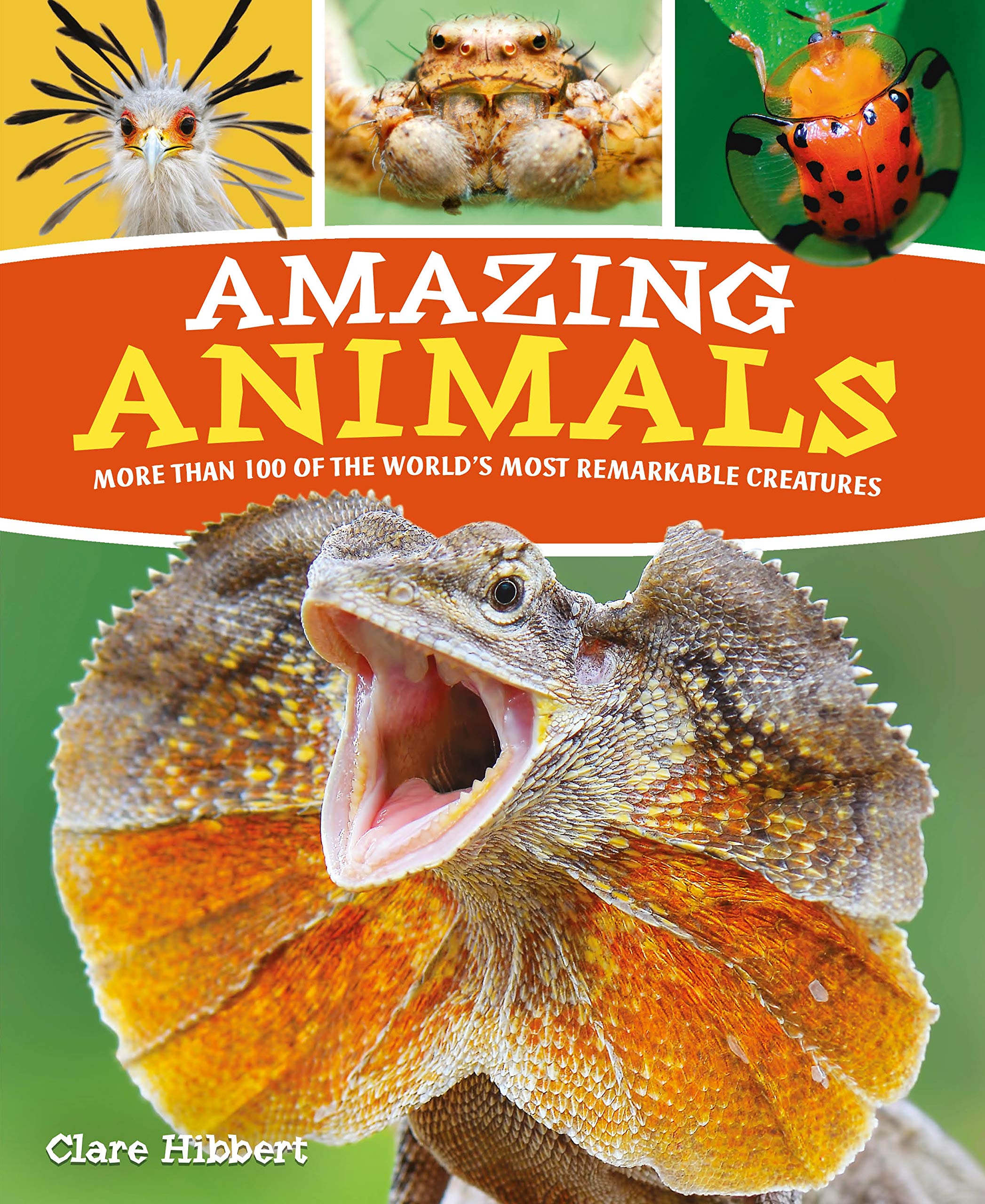 Amazing Animals: More Than 100 of the World's Most Remarkable Creatures Non-fiction