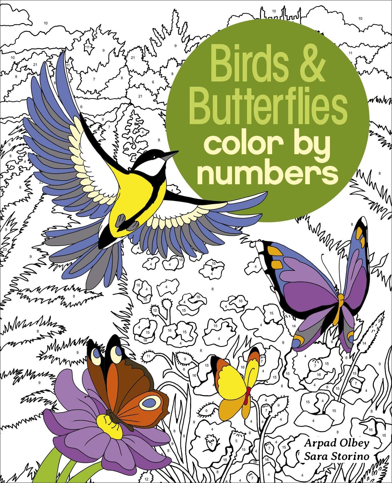 Birds & Butterflies Color by Numbers (Arcturus Color by Numbers Collection, Band 9) Social Sciences