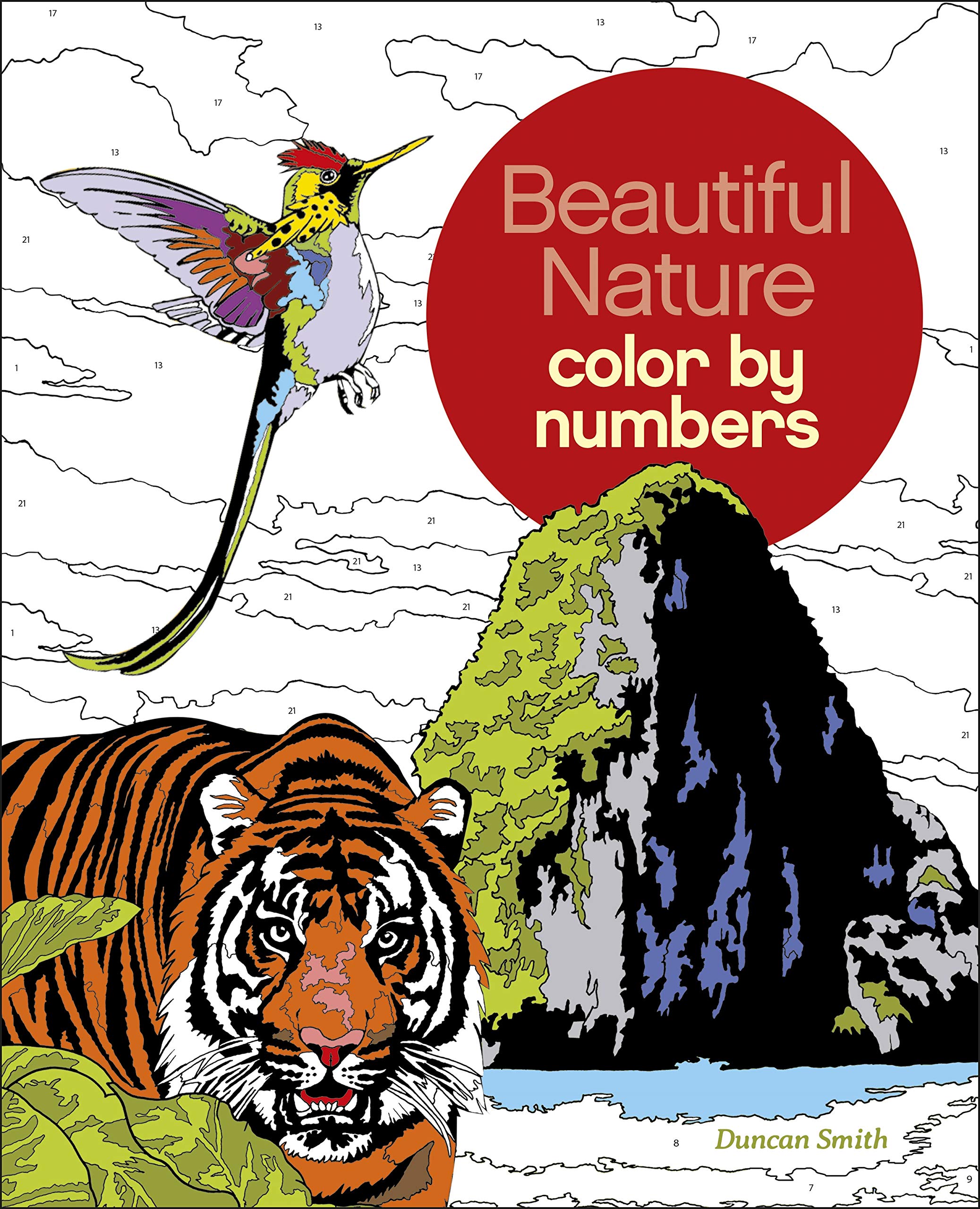 Beautiful Nature Color by Numbers (Arcturus Color by Numbers Collection) Hobbies & Crafts