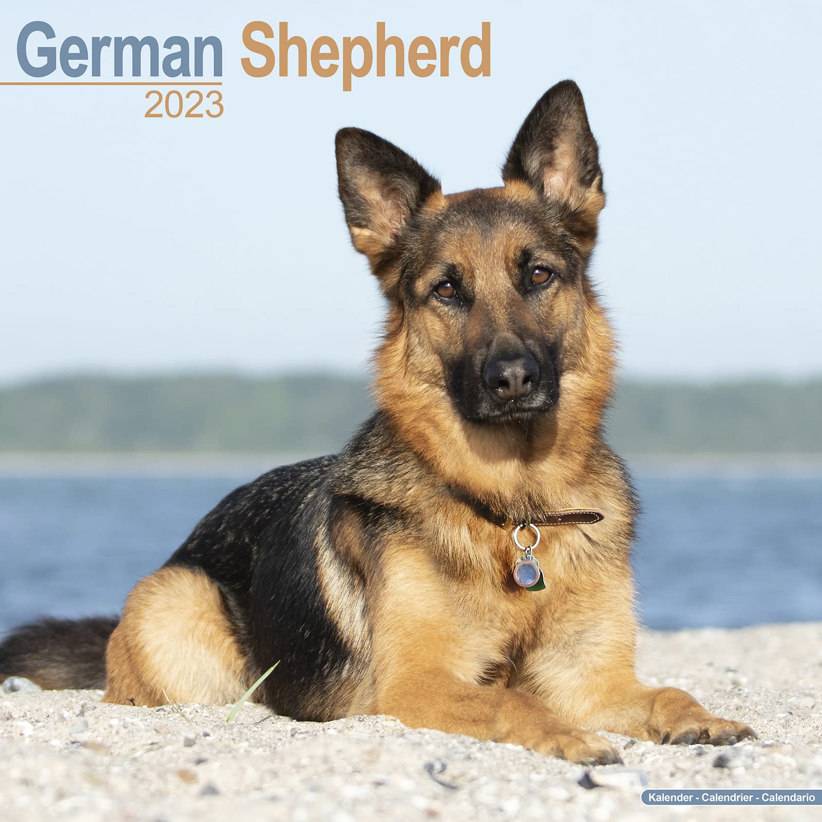 German Shepherd - Deutsche Schäferhunde 2023 - 16-Monatskalender: Original Avonside-Kalender (Wall-Kalender) Pets