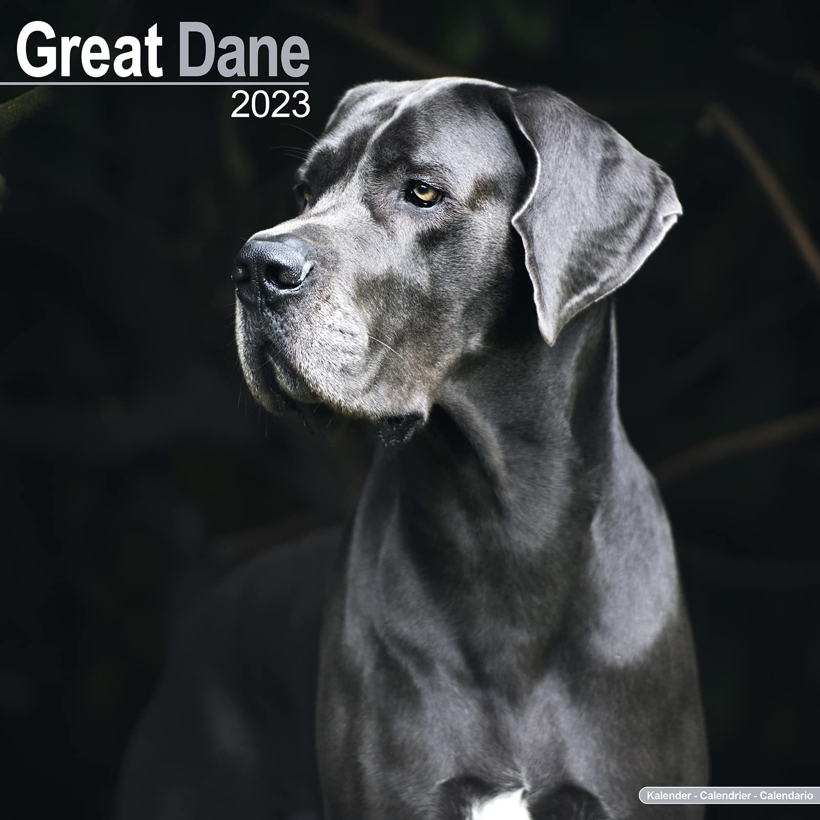 Great Dane - Dänische Dogge 2023 - 16-Monatskalender: Original Avonside-Kalender (Wall-Kalender) Pets