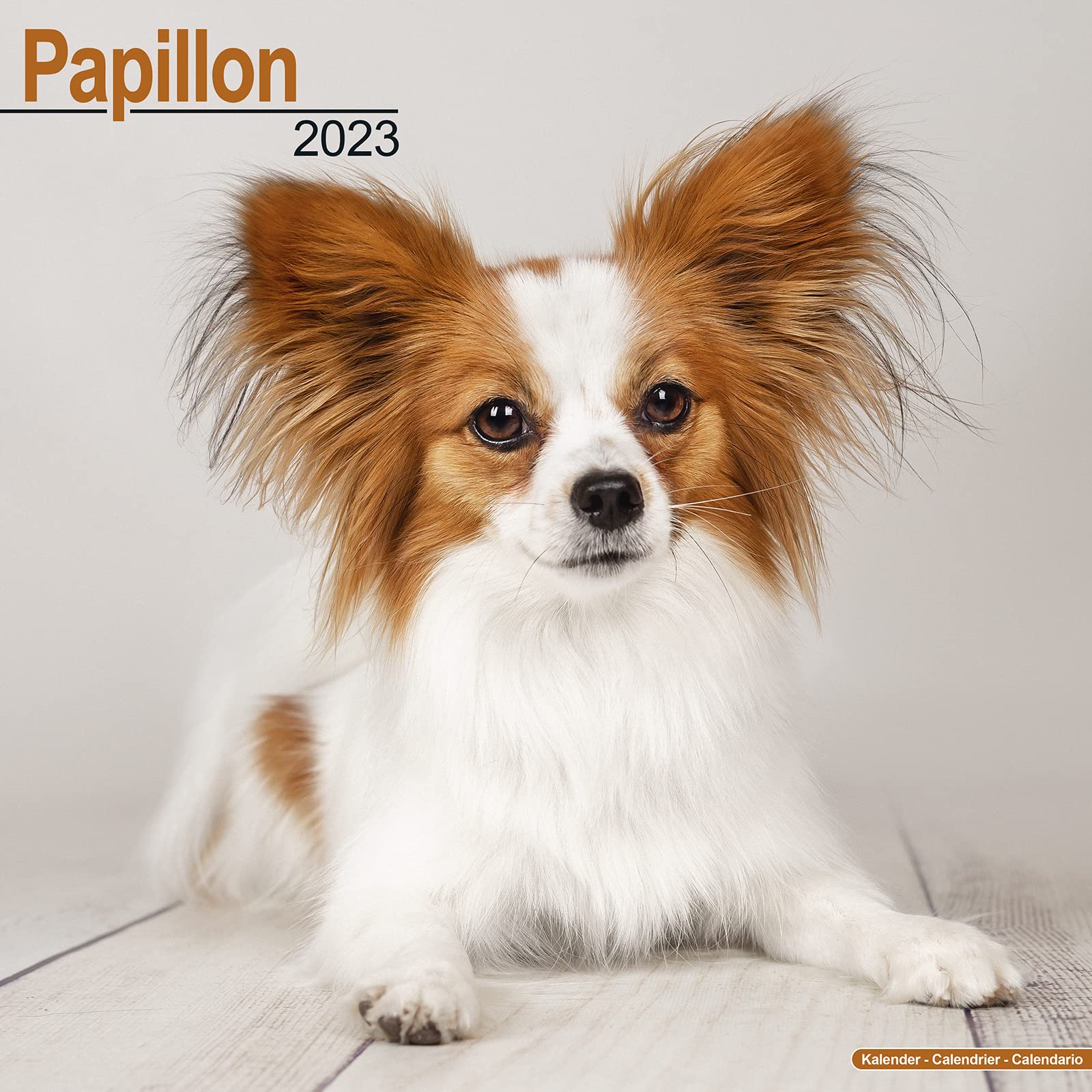 Papillon 2023 - 16-Monatskalender: Original Avonside-Kalender (Wall-Kalender) Pets