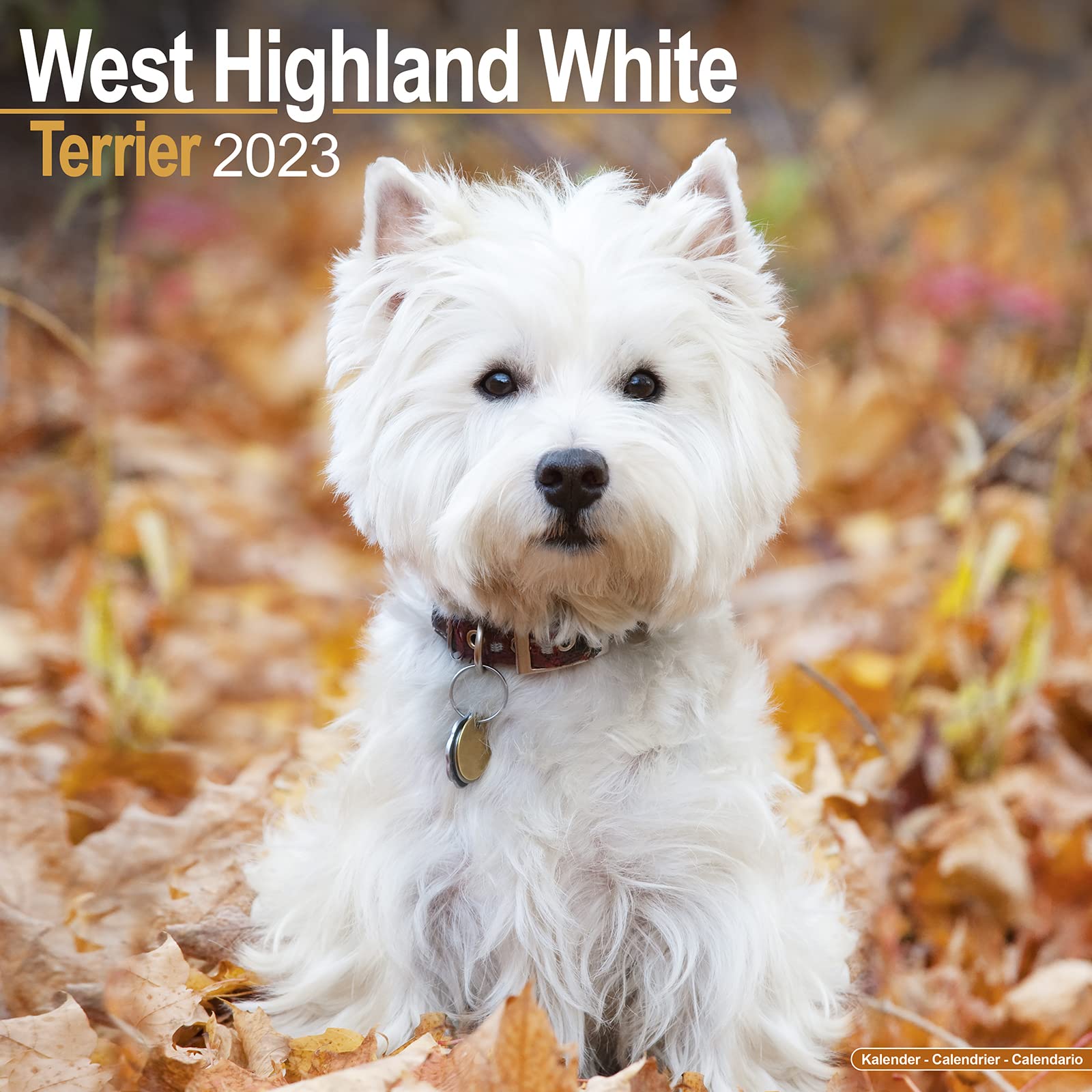 West Highland White Terrier - Westies 2023 - 16-Monatskalender: Original Avonside-Kalender (Wall-Kalender) Pets