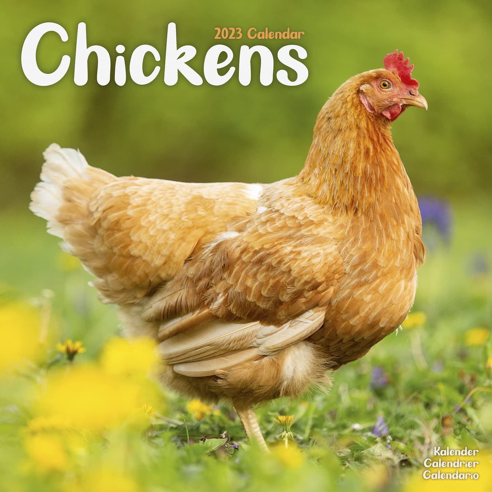 Chickens - Hühner 2023 - 16-Monatskalender: Original Avonside-Kalender (Wall-Kalender) Leisure, Home & Garden