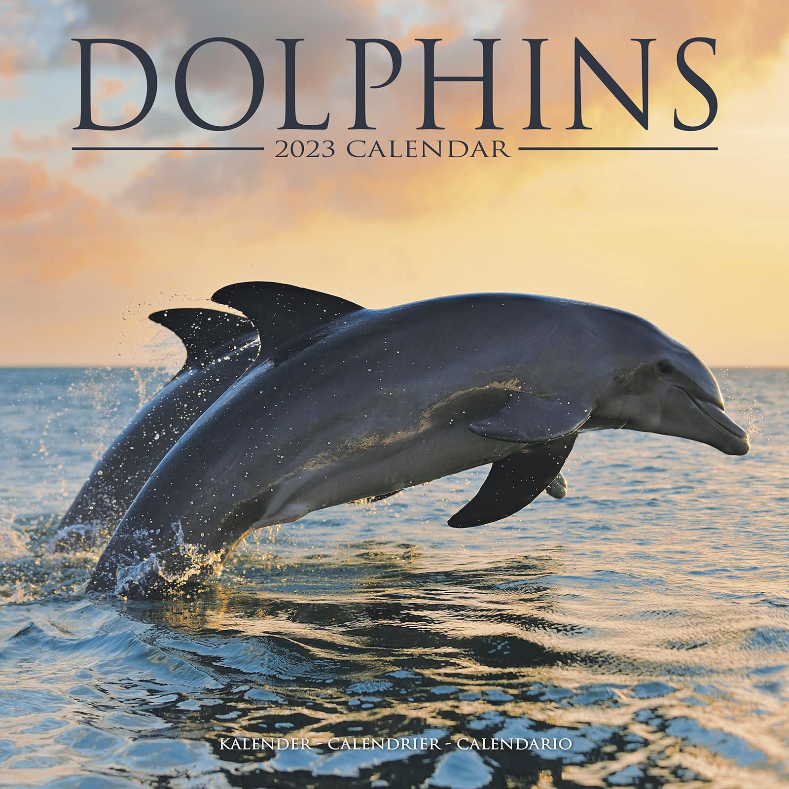 Dolphins – Delfine – Delphine 2023 – 16-Monatskalender: Original Avonside-Kalender (Wall-Kalender) Leisure, Home & Garden
