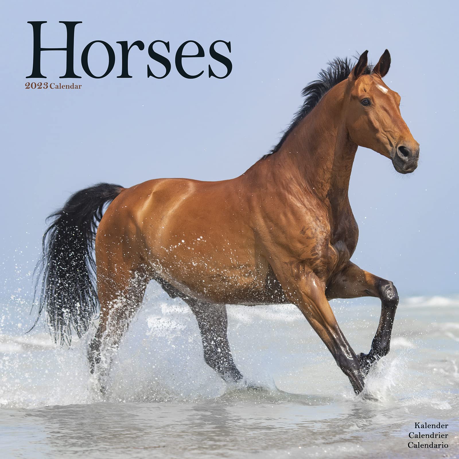 Horses – Pferde 2023 - 16-Monatskalender: Original Avonside-Kalender (Wall-Kalender) Pets