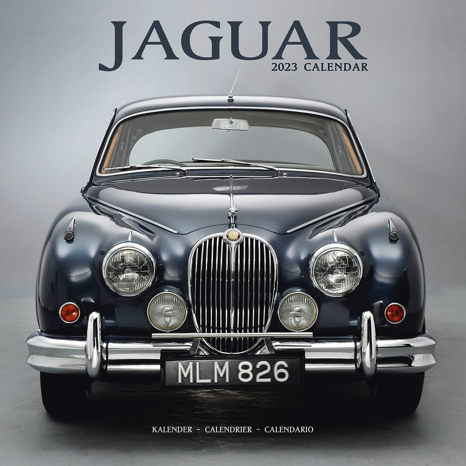 Jaguar 2023 – 16-Monatskalender: Original Avonside-Kalender (Wall-Kalender) Leisure, Home & Garden