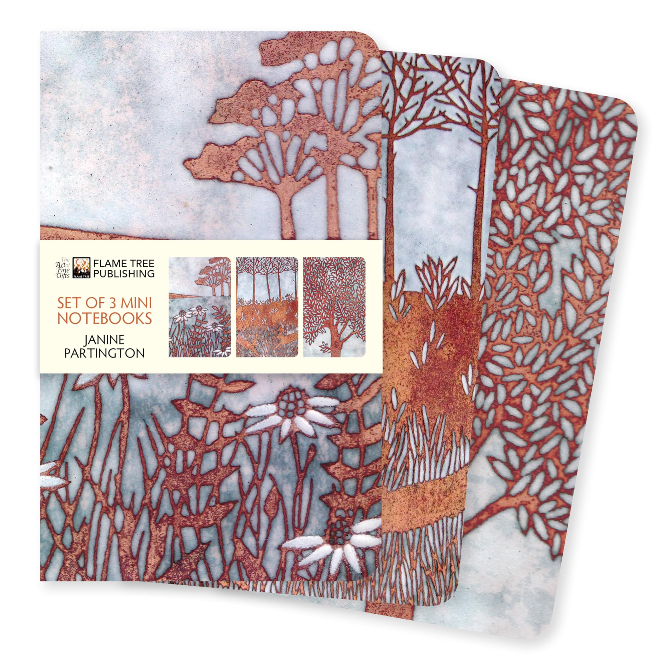 Janine Partington Set of 3 Mini Notebooks (Mini Notebook Collections): Unser beliebten Mini-Notizbücher im 3er-Pack mit flexiblen, künstlerisch ... des Künstlers (Mini-Notizbücher (3er-Pack)) Media & Communication