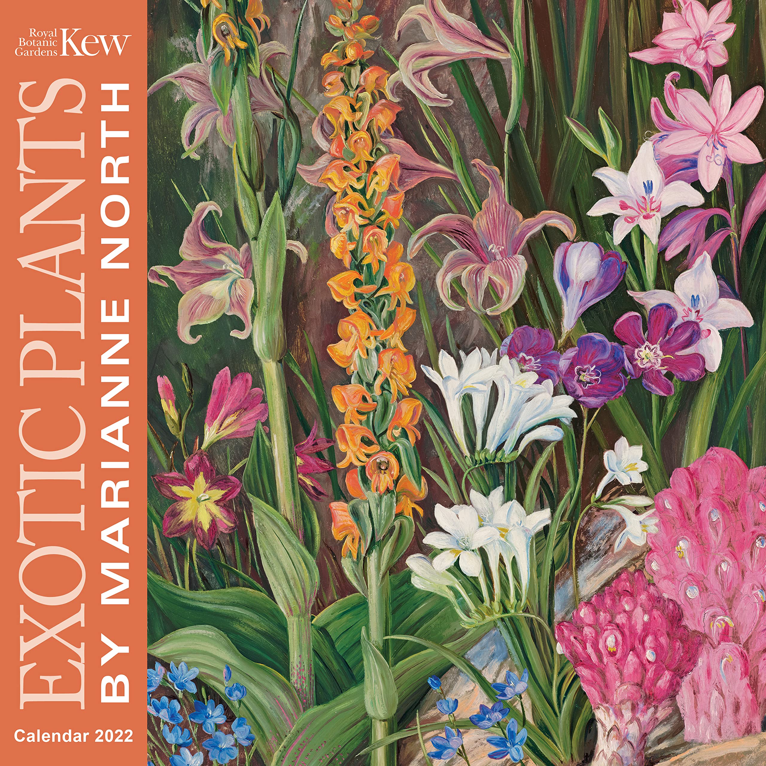 Exotic Plants by Marianne North 2022 Calendar (Kew Gardens) Film, Art & Culture
